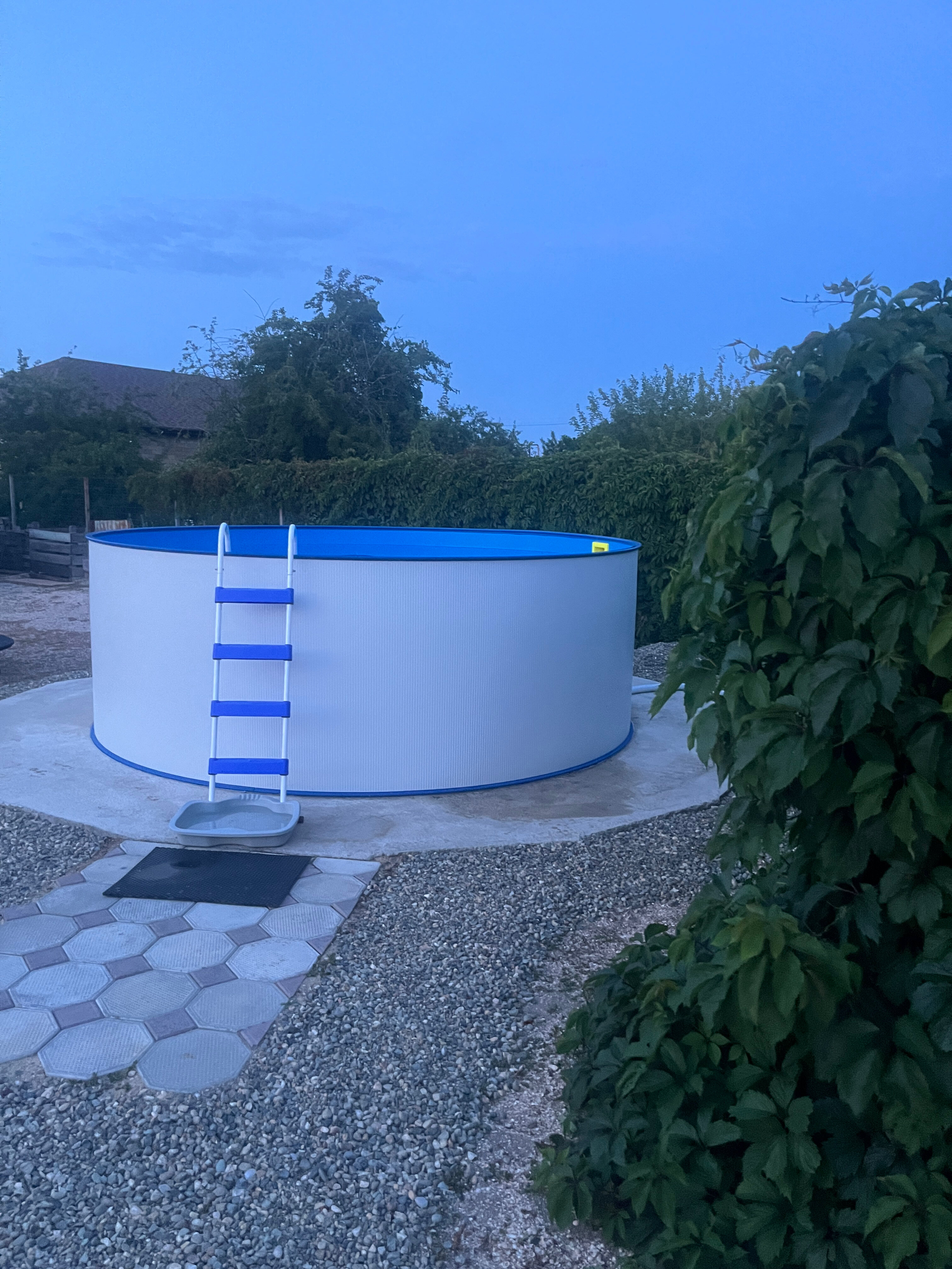 Фото Лаванда