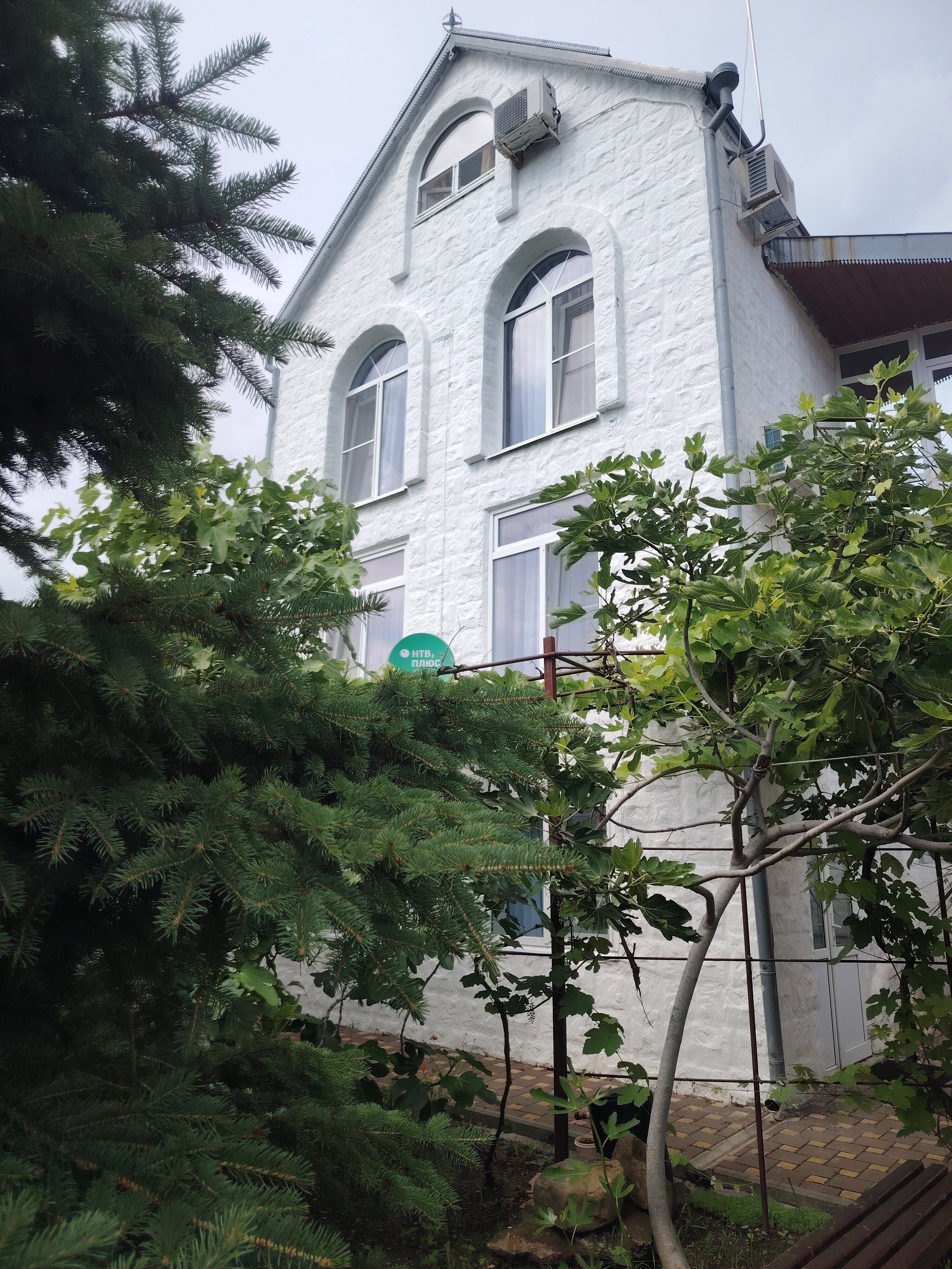 Фото Акварель