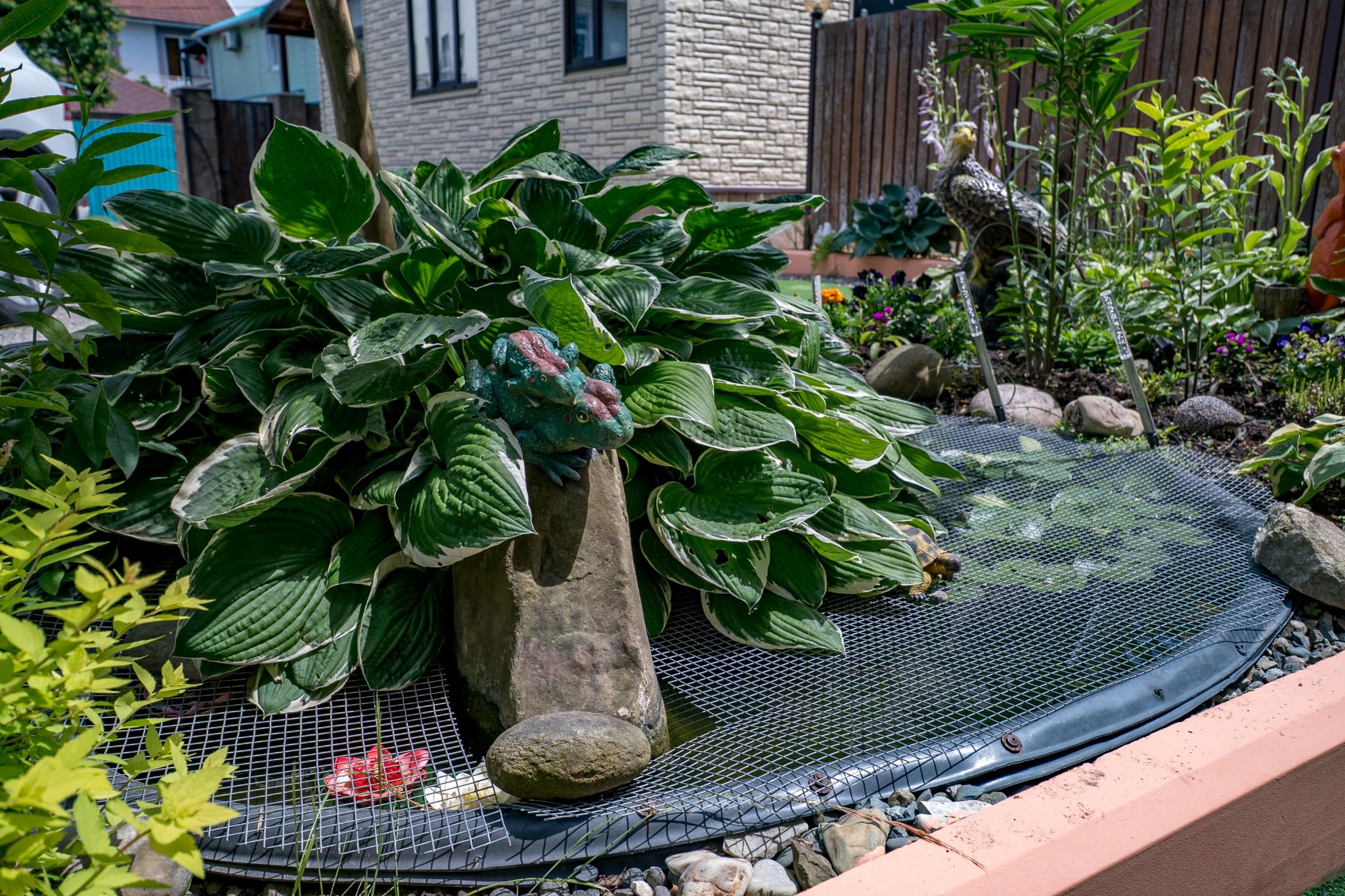 Фото Стефания