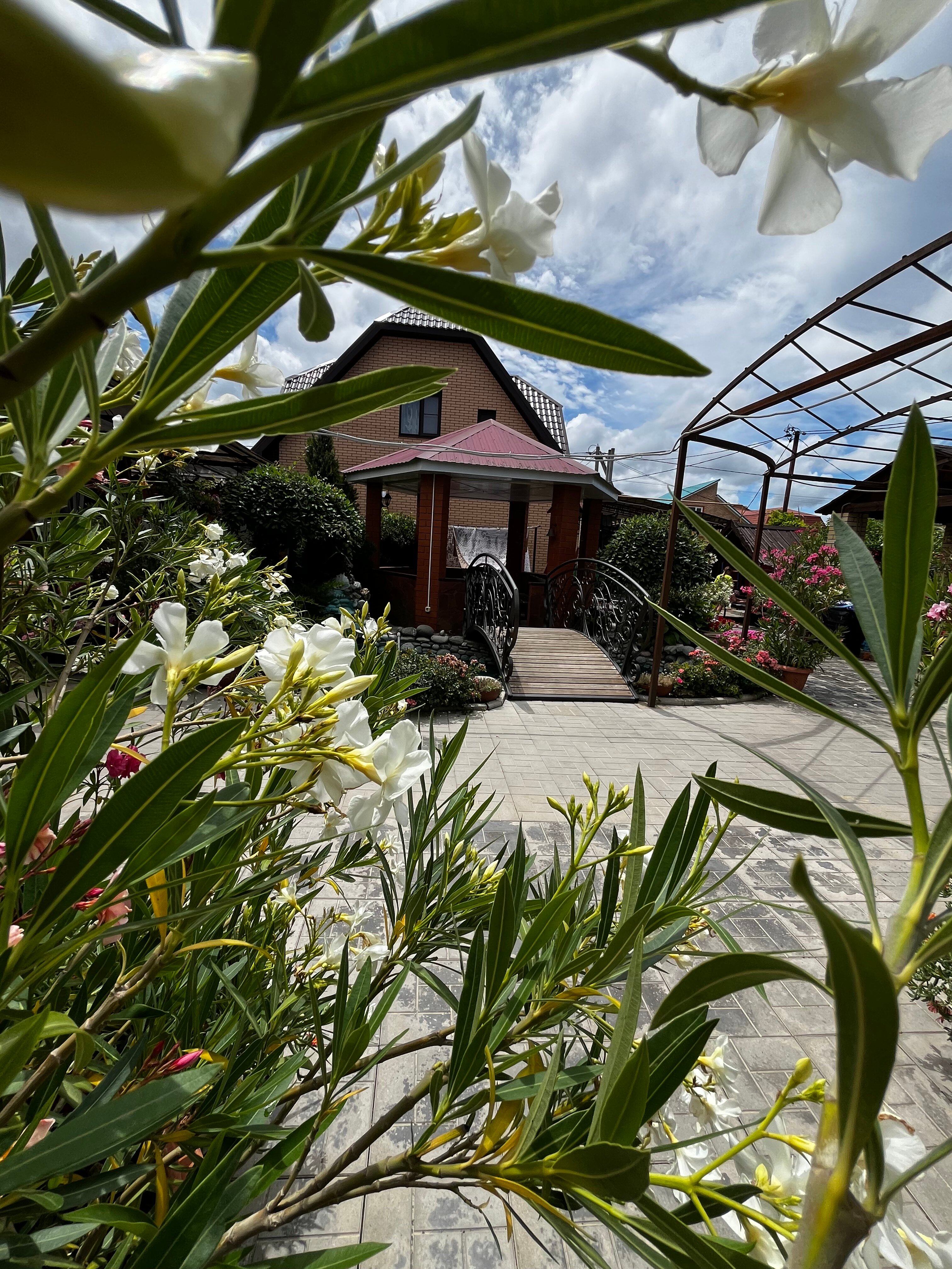 Фото Сказка ИНН