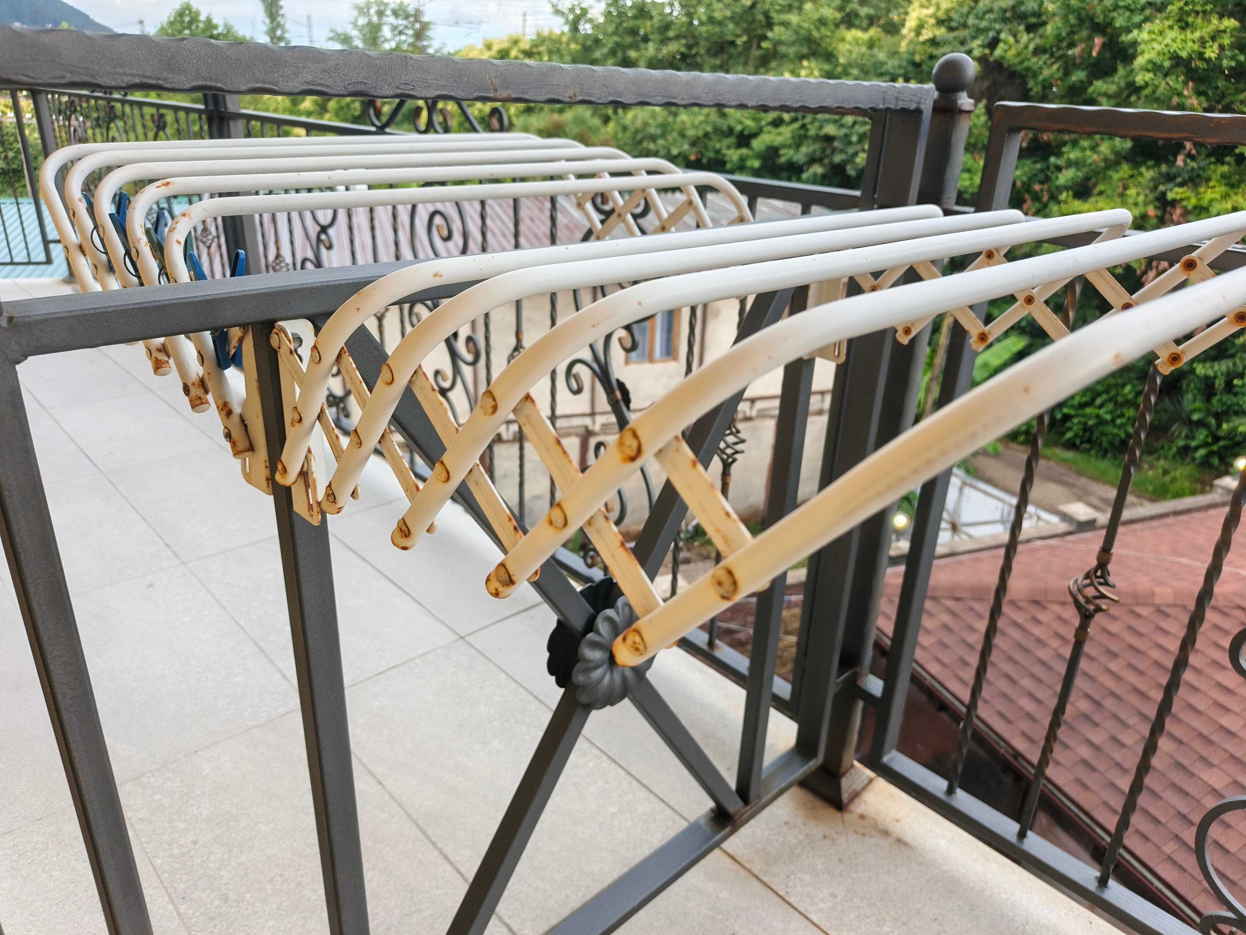 Фото Коралл