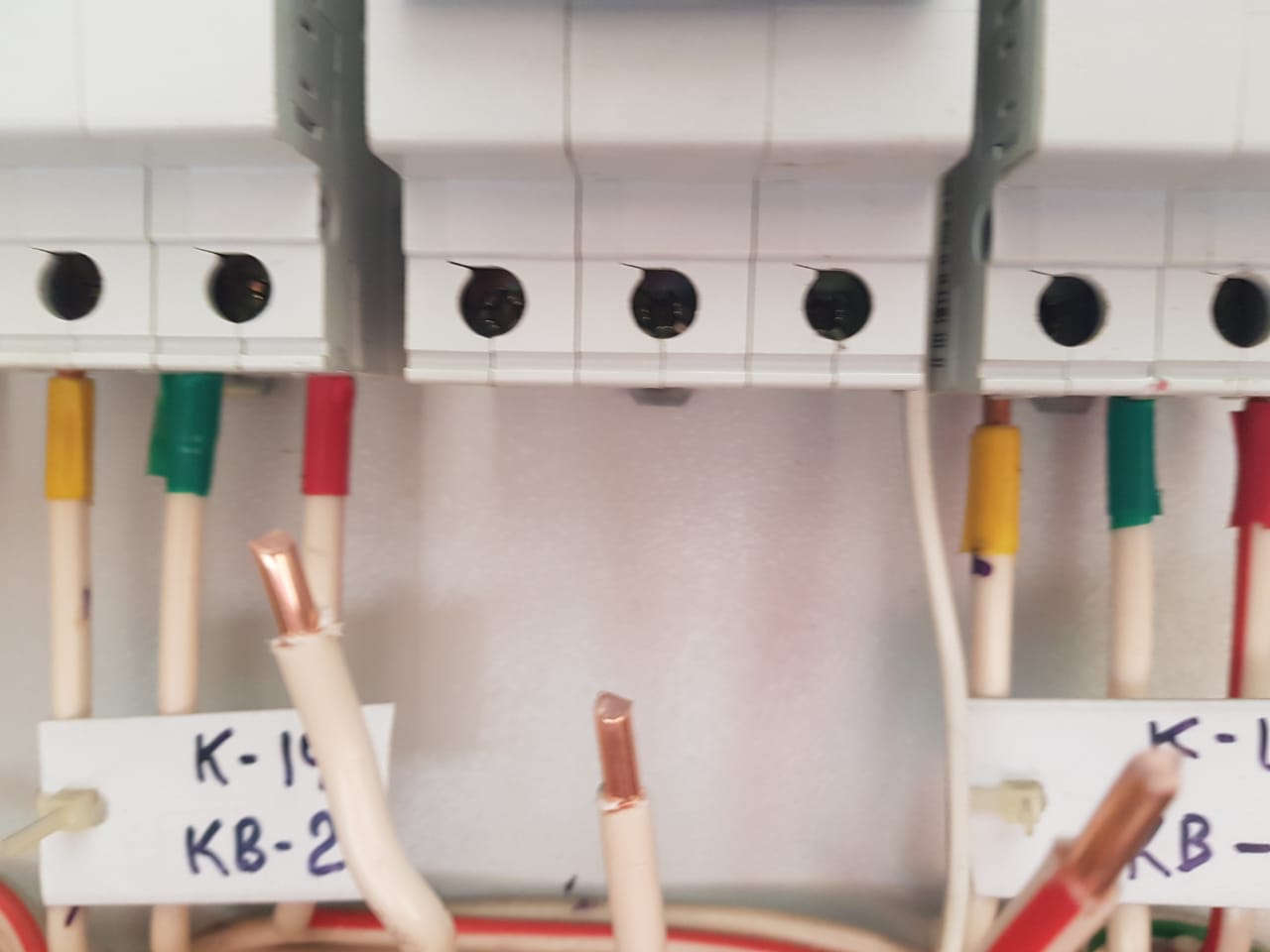 Фото Орхидея Парк