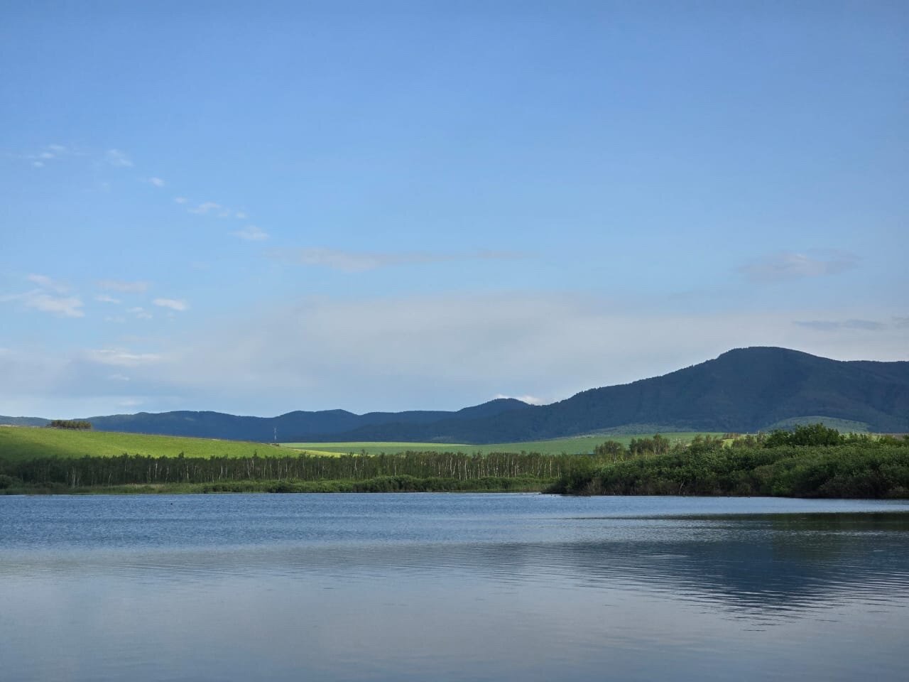 Фото Алтай Green