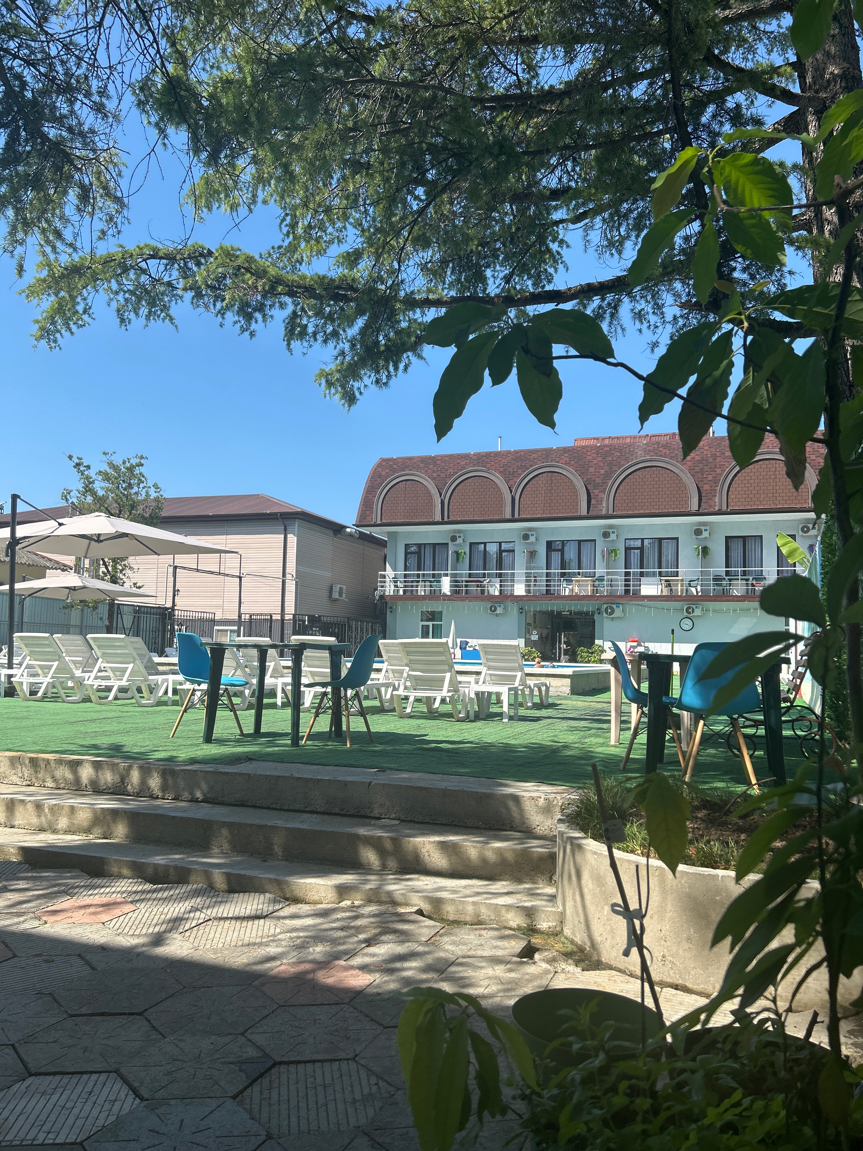 Фото Крылья