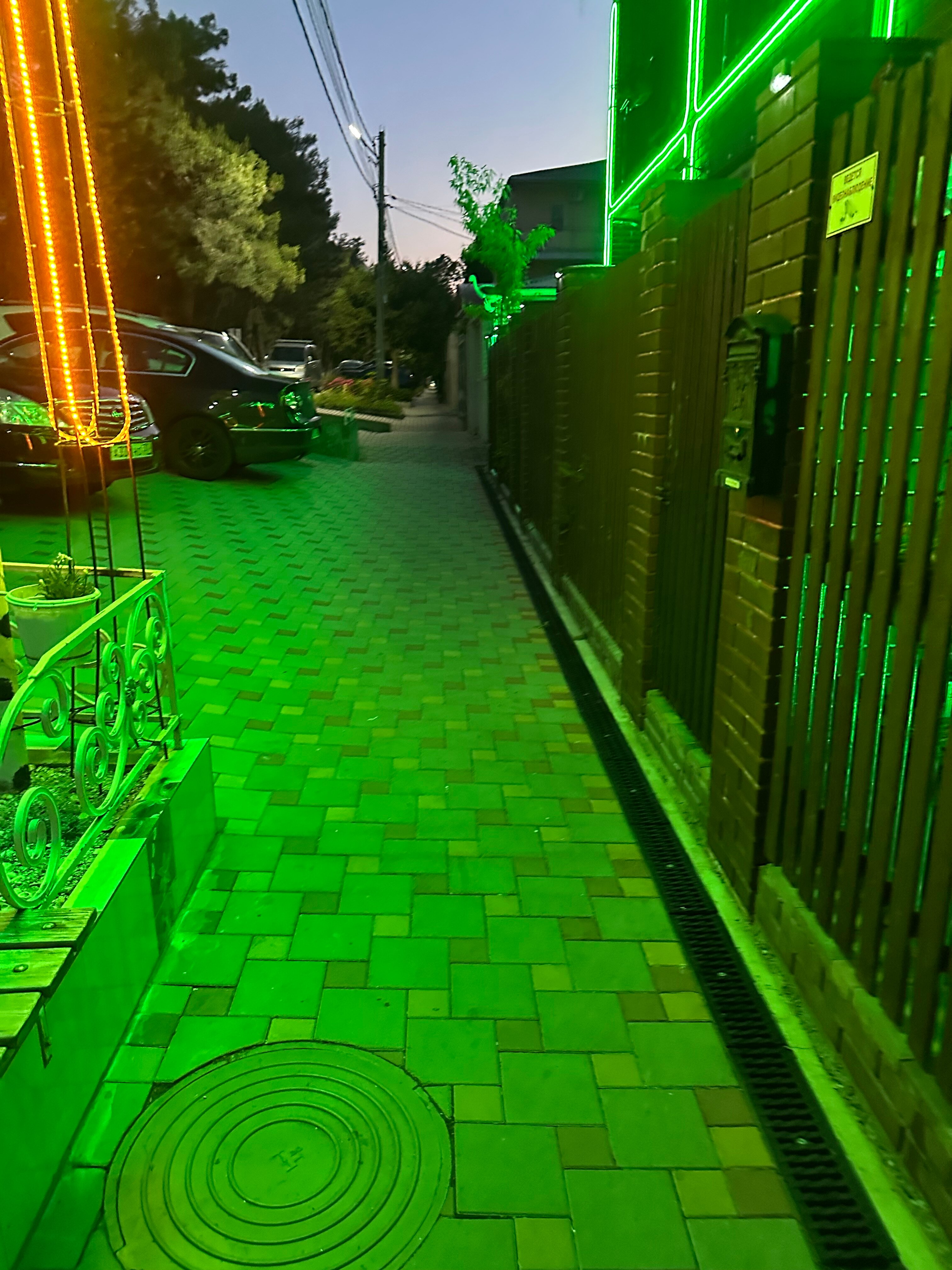 Фото Сон у моря