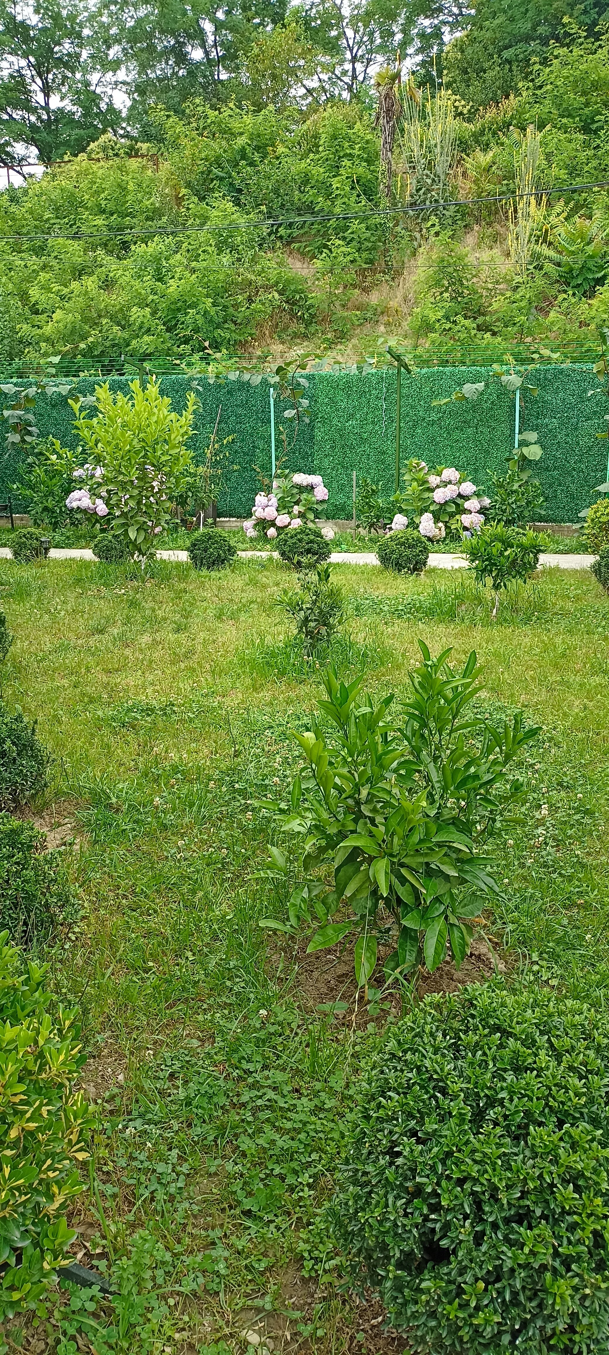 Фото Вилла Оазис