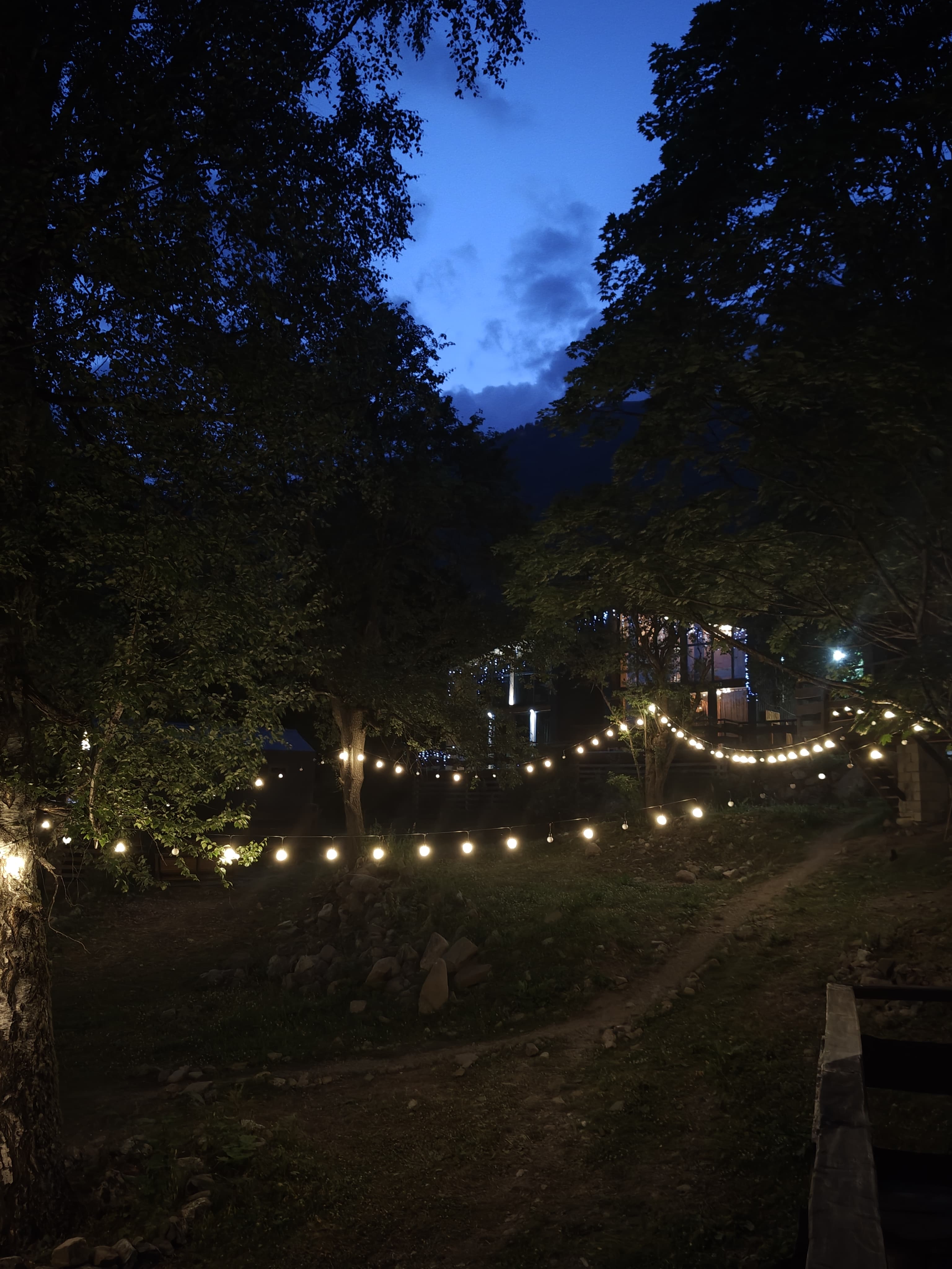 Фото Тишина