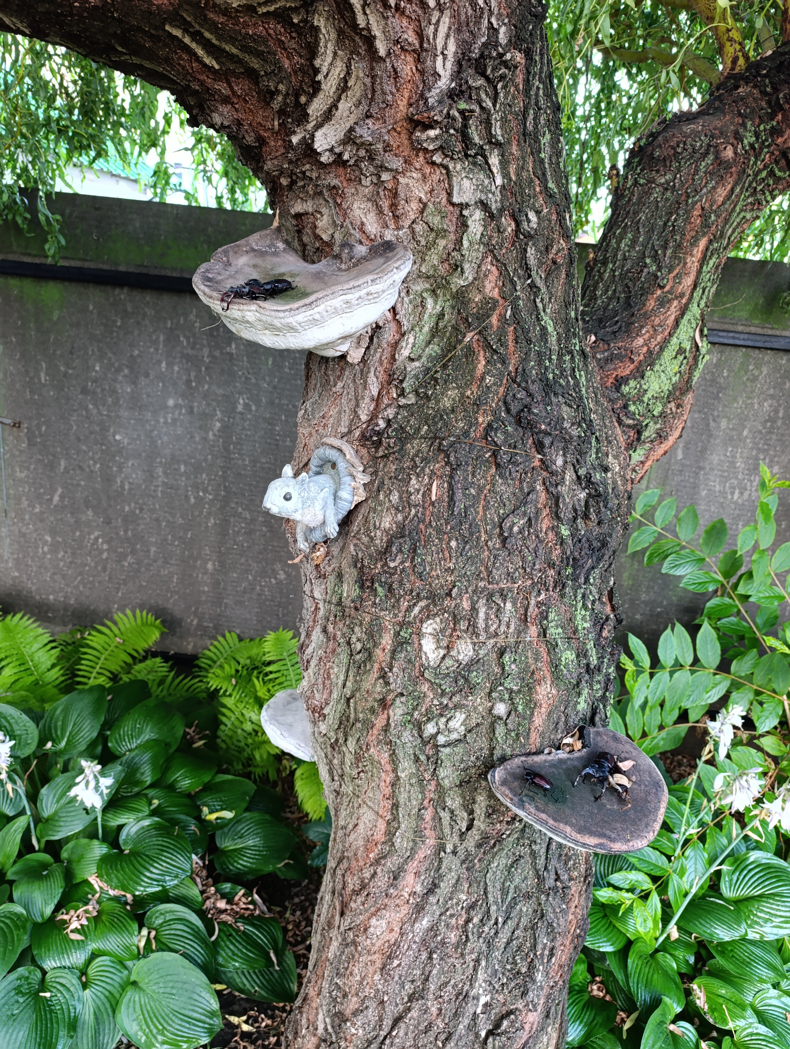 Фото Дворик