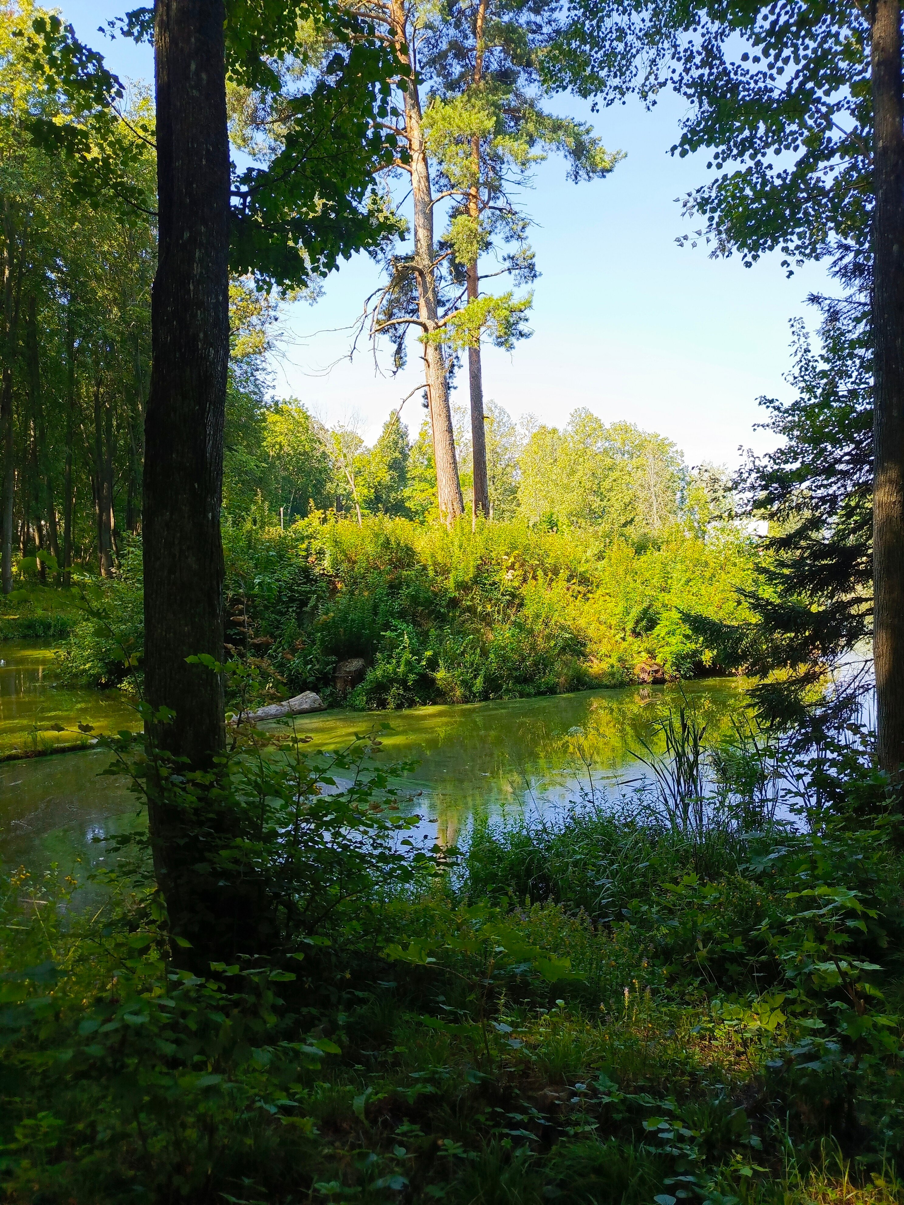 Фото Ильинский пляж