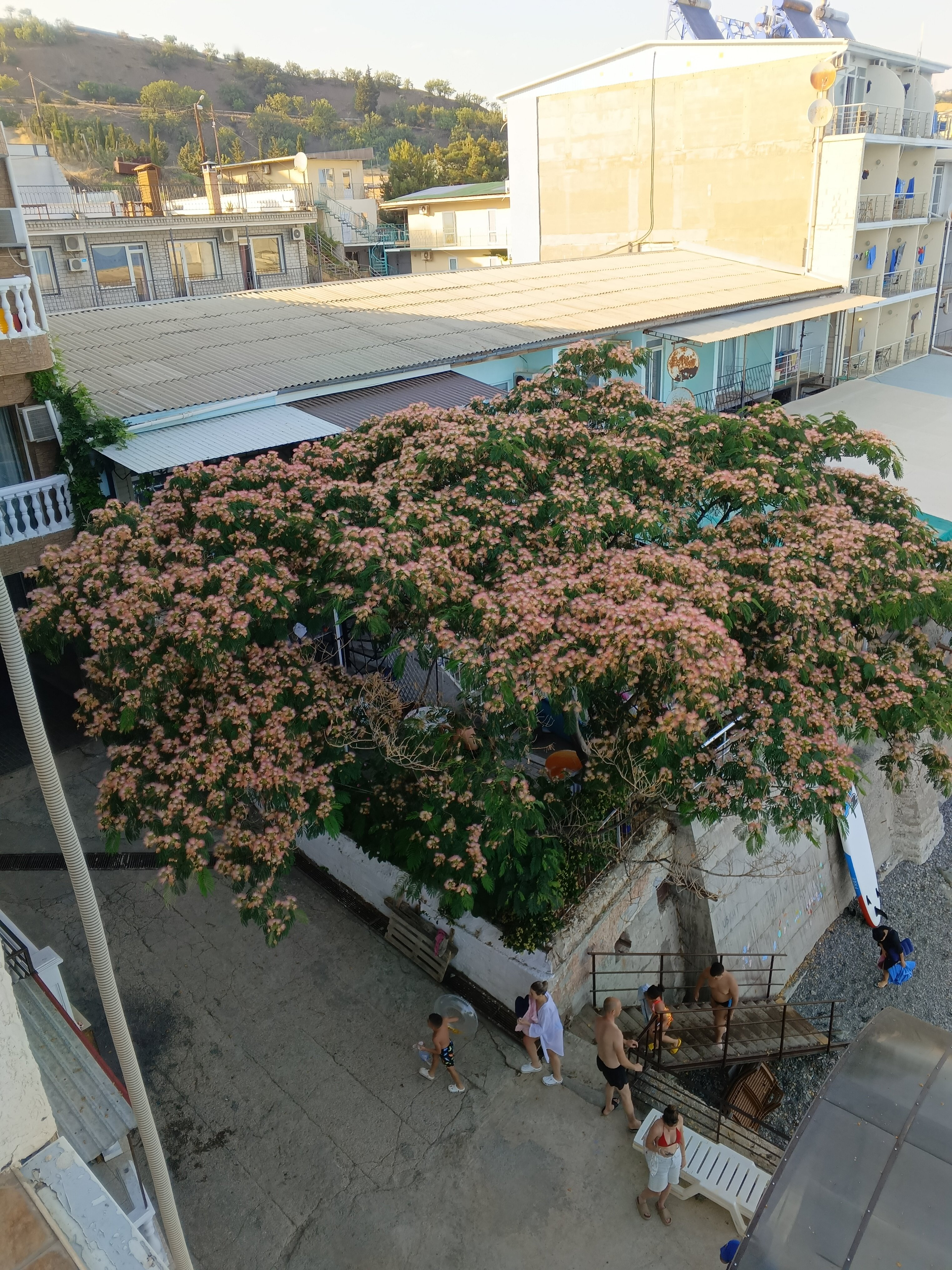 Фото 35-й Меридиан