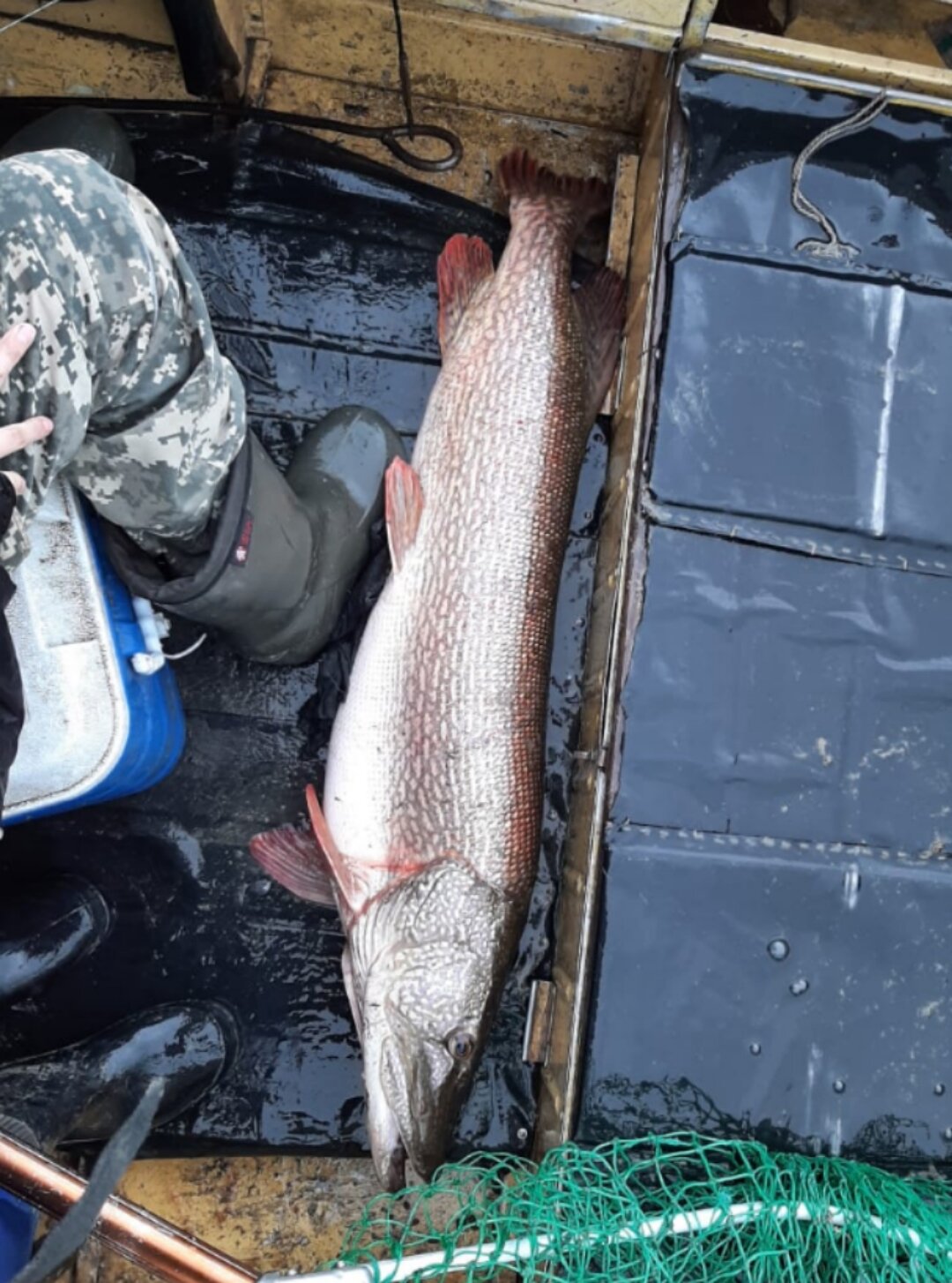 Фото Домик на дереве