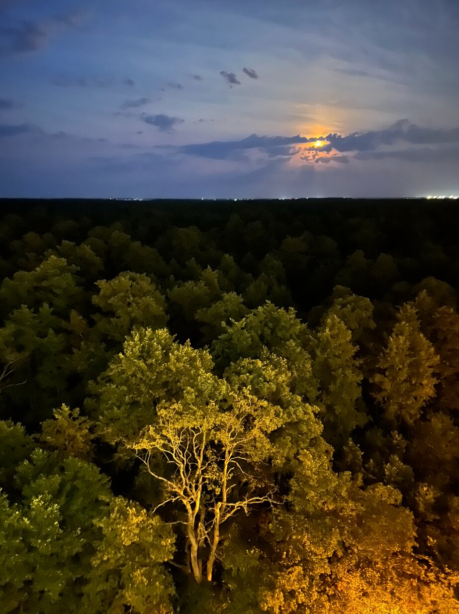 Фото Schwendlund Apartments