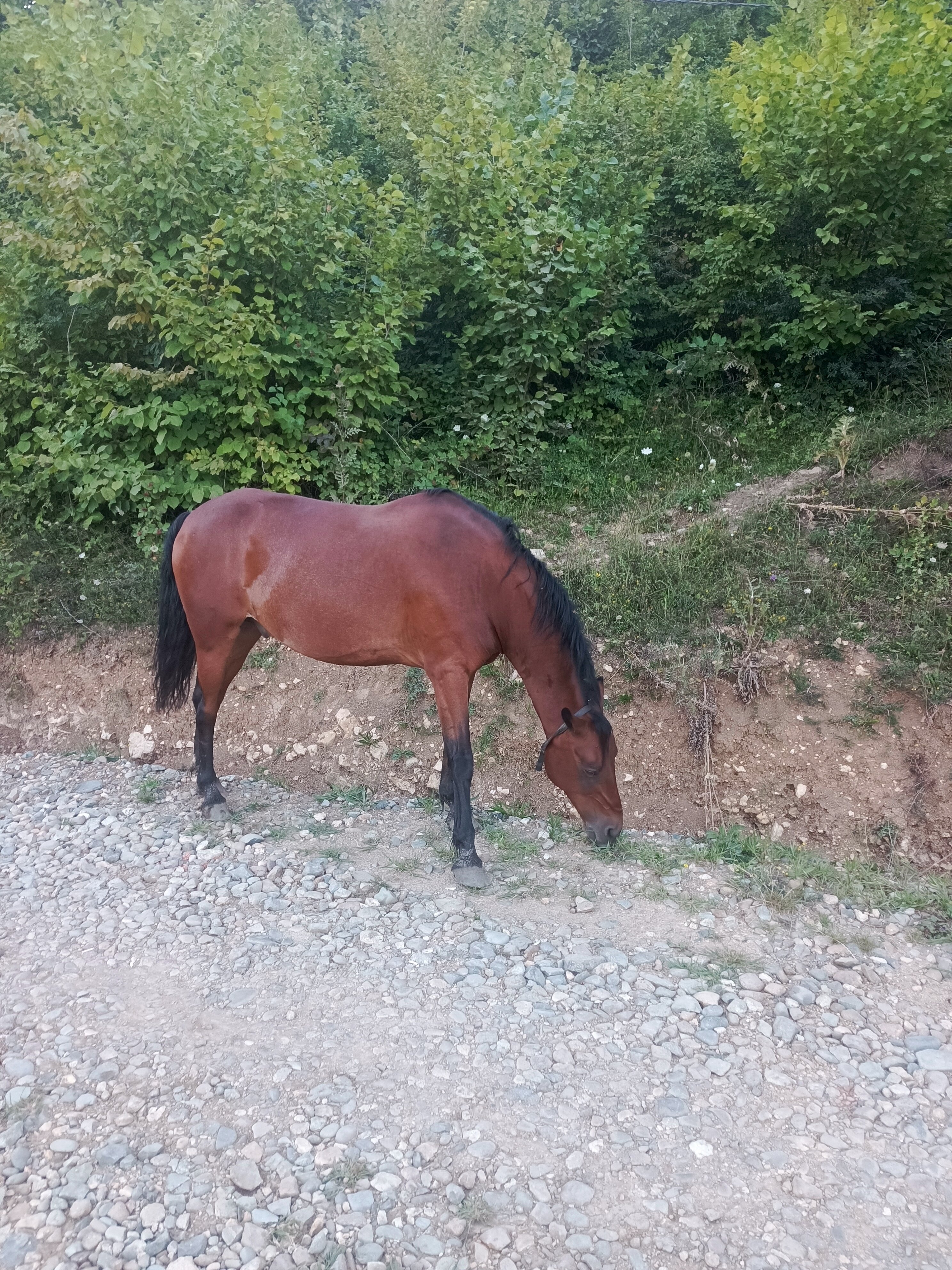 Фото 4 Сезона