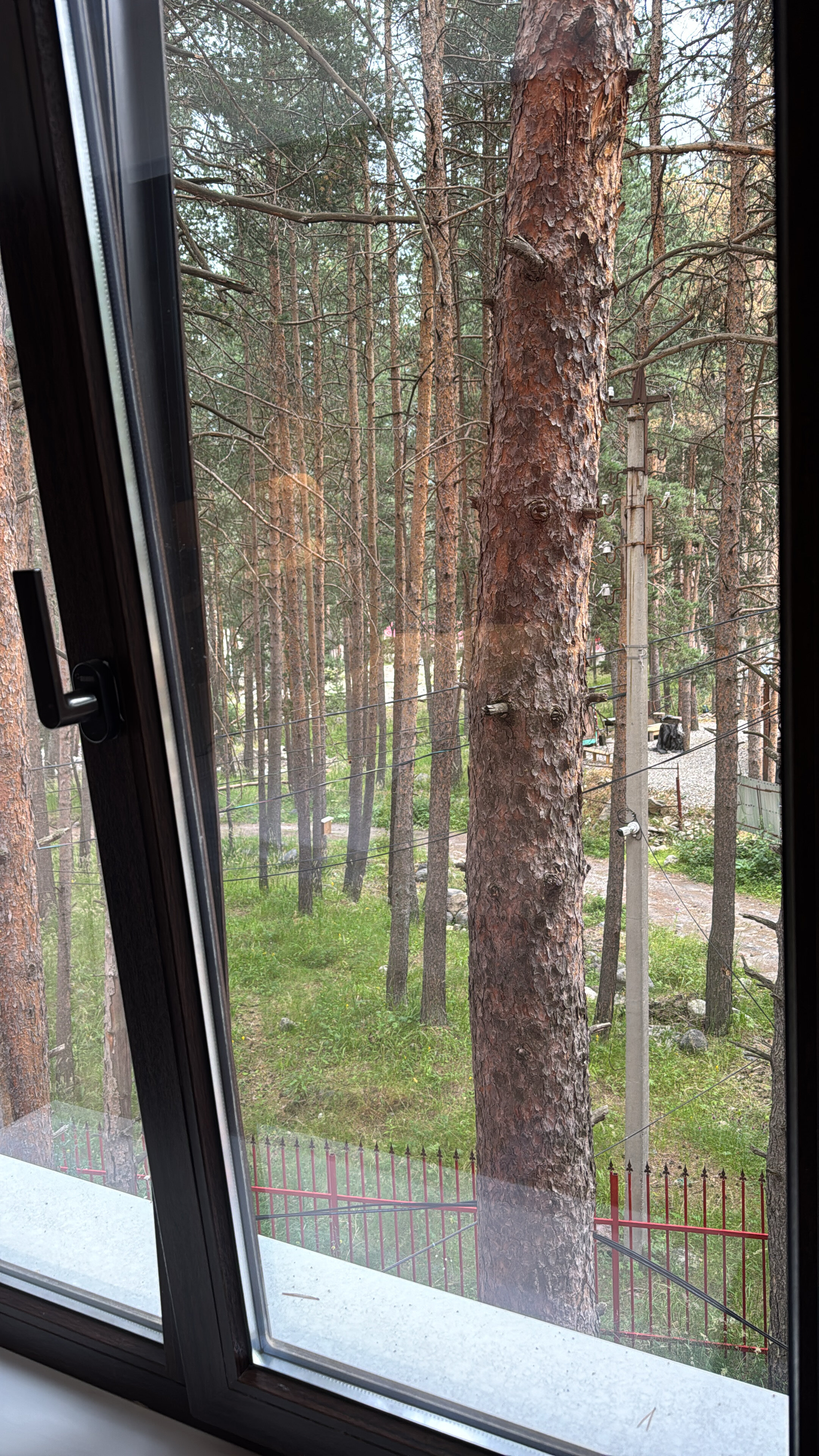 Фото Вилла Омега