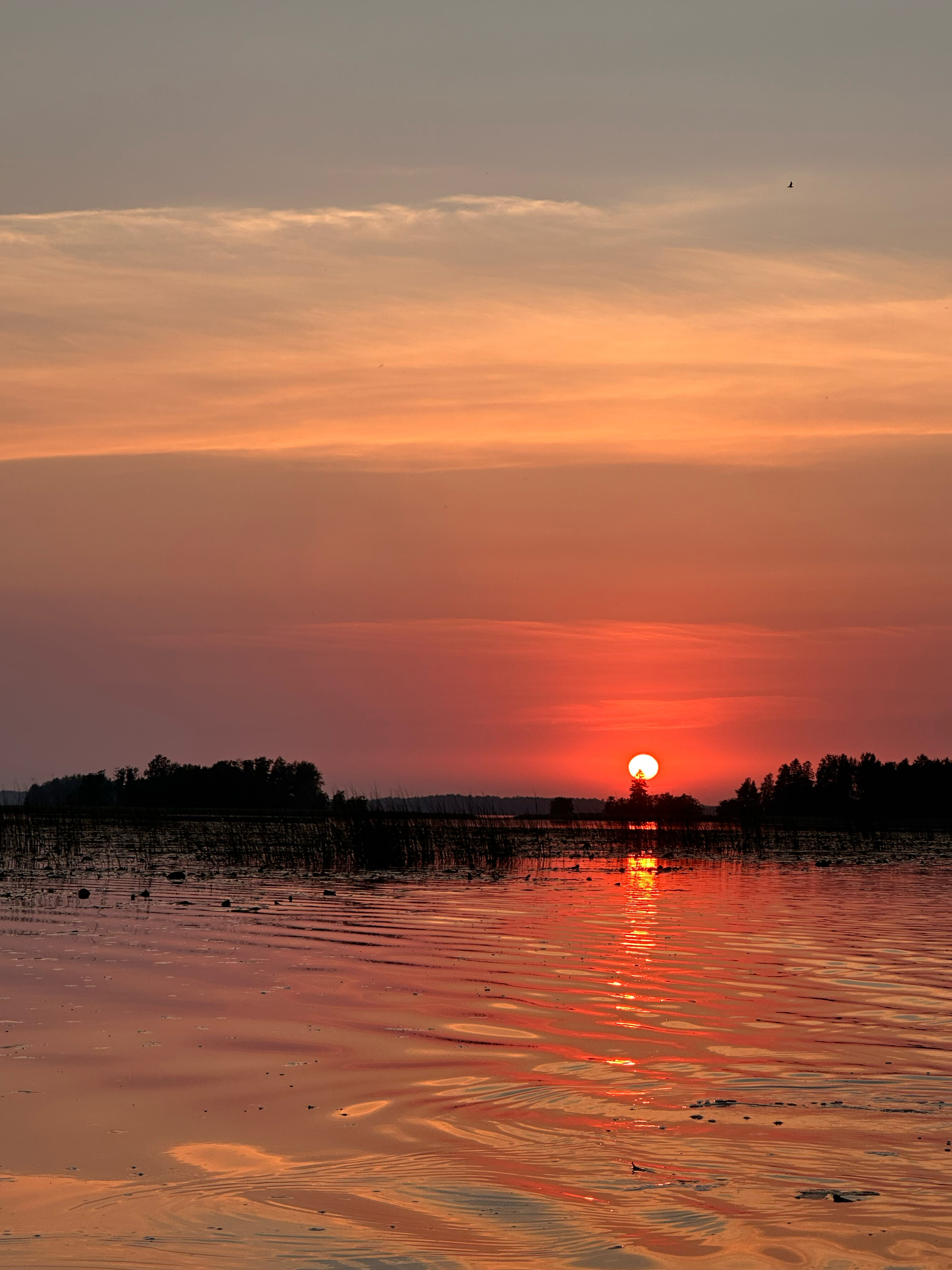 Фото Поместье Лесная бухта