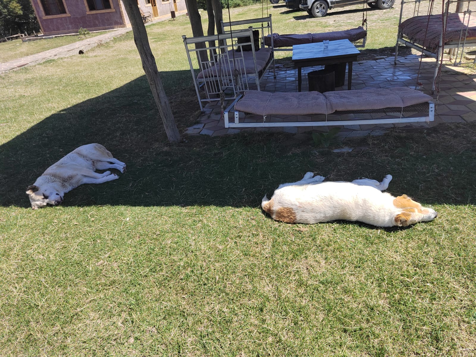 Фото КФХ Родник