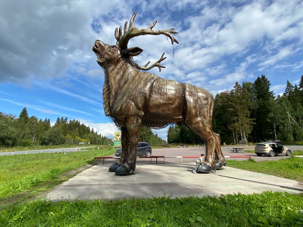 Ескерткіш, мүсін Скульптура Лось, Карелия Республикасы, фото