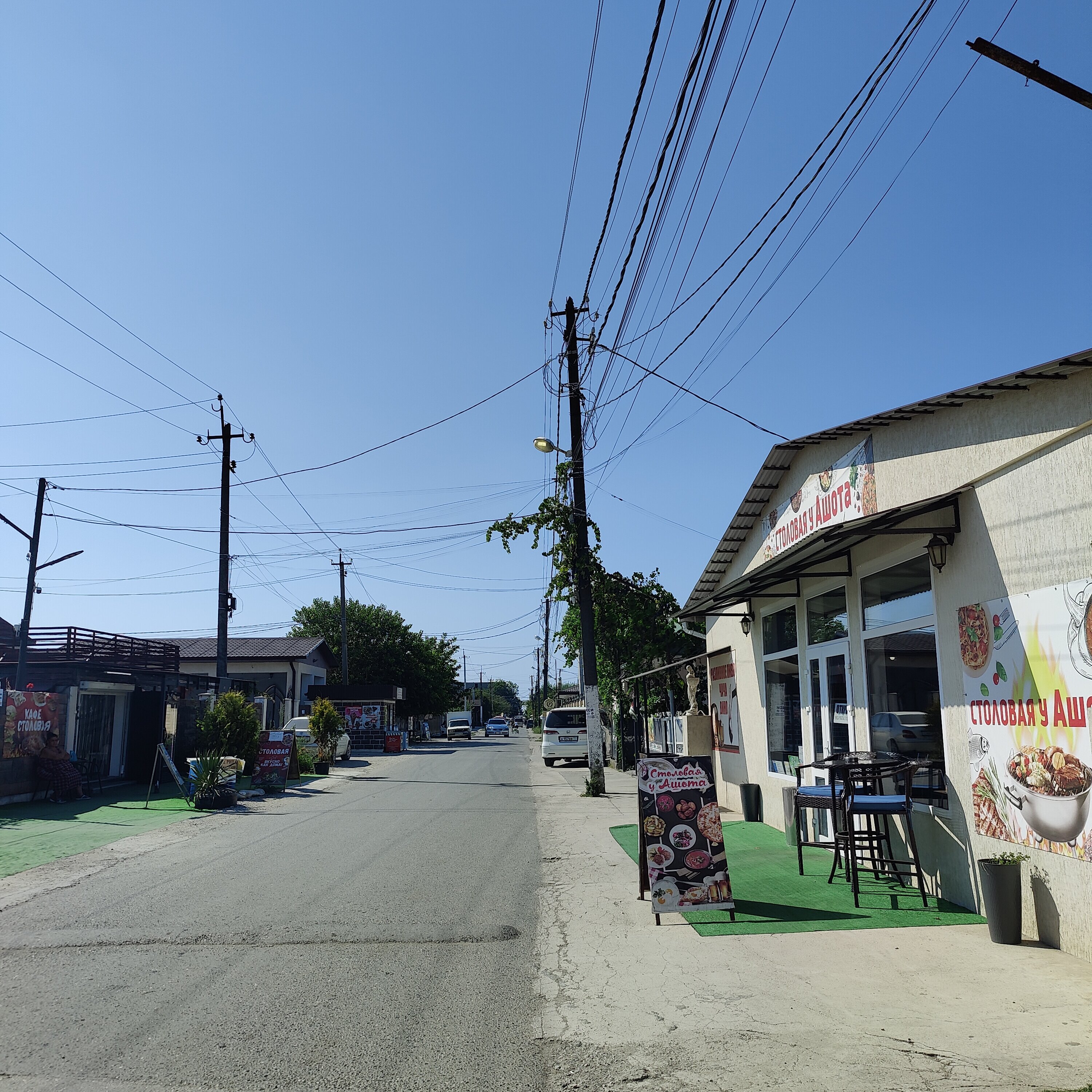 Фото Платан-Paradise