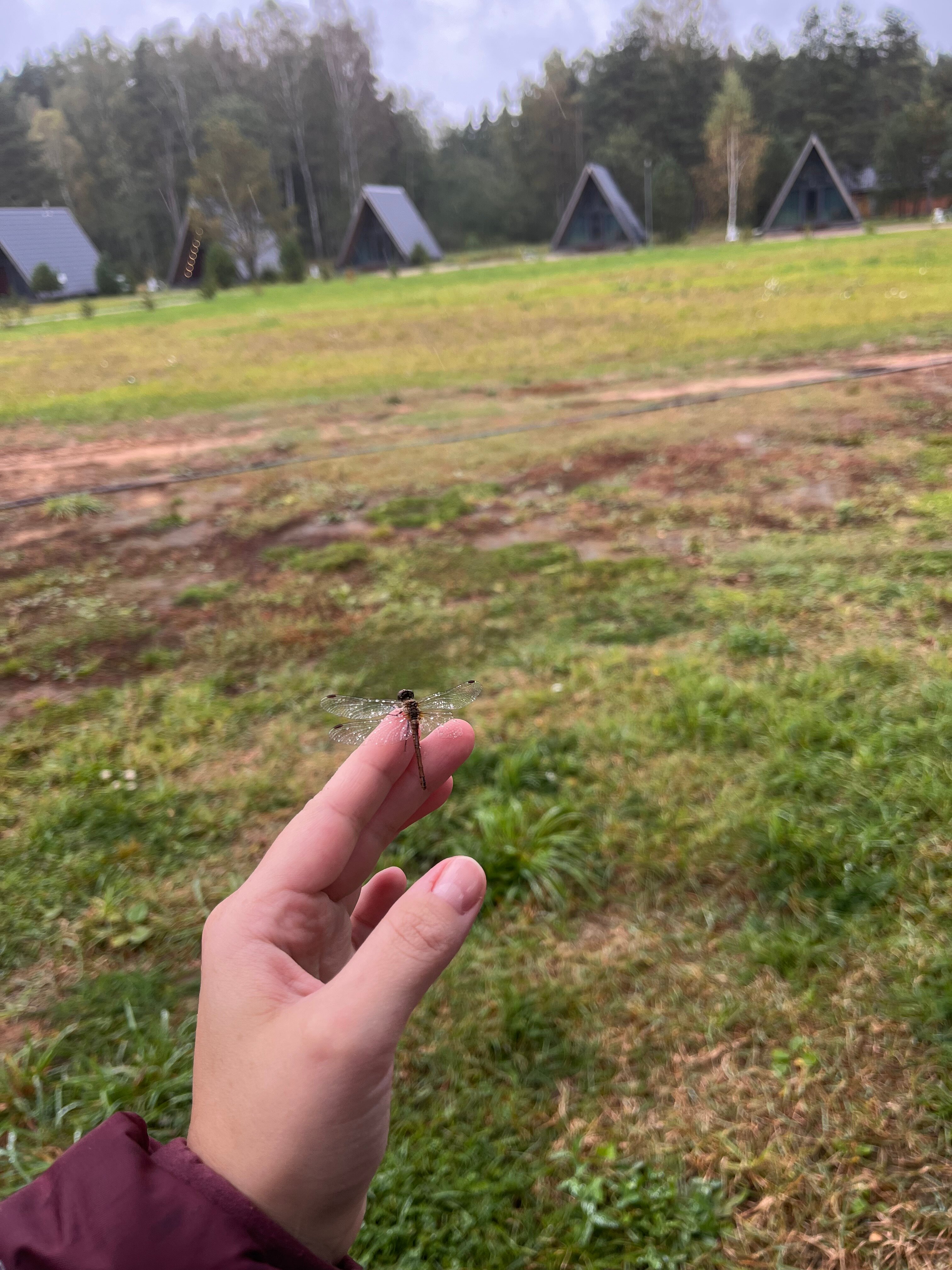 Фото Парк-отель Тутань