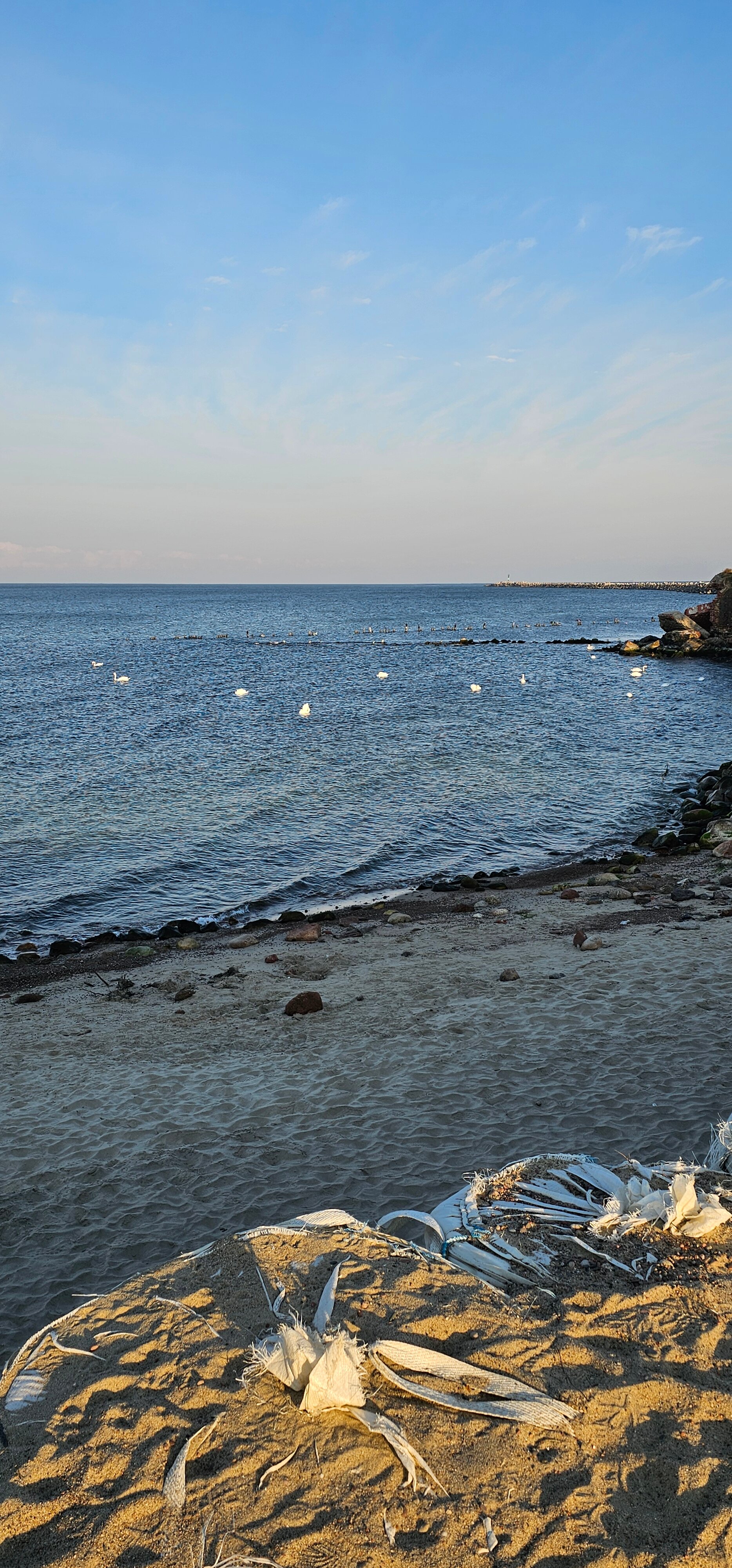 Фото Жилое помещение Дом на Балтийской косе