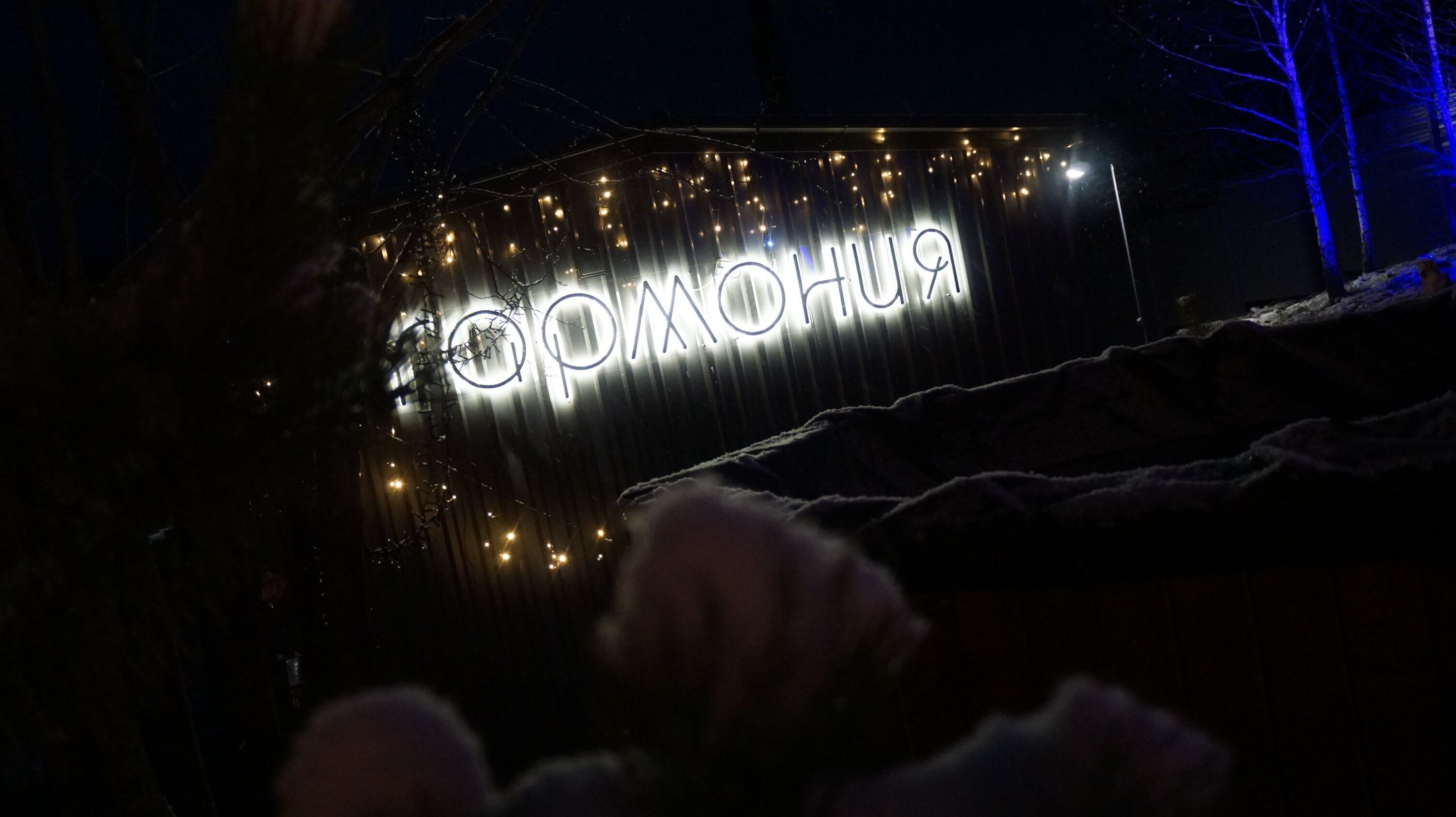 Фото Вдохновение природы