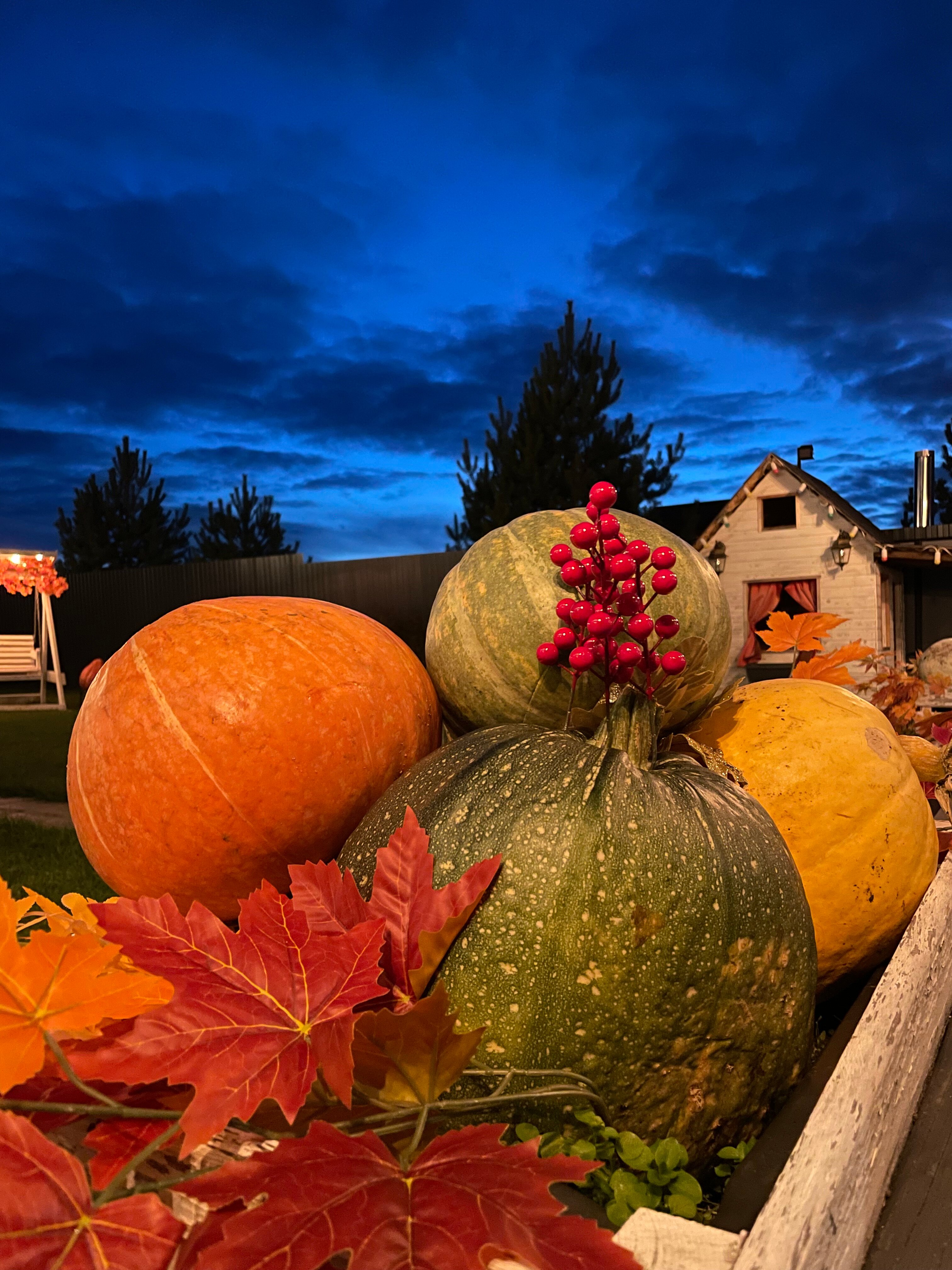 Фото Домик Фазенда