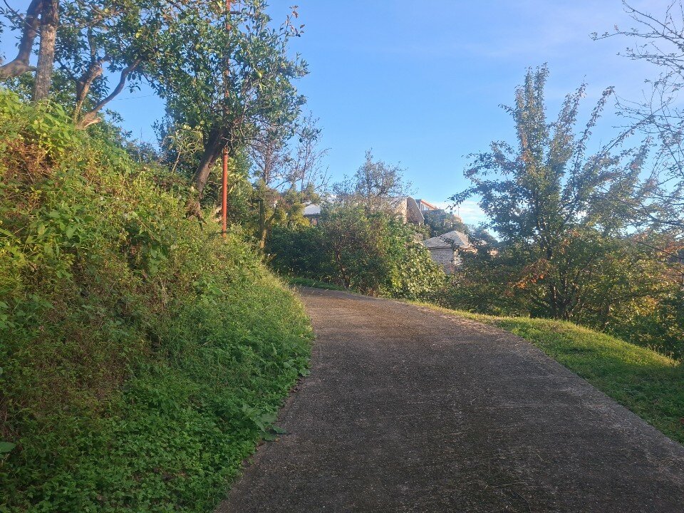 Фото Гостевой дом Holiday House Green Cape Batumi