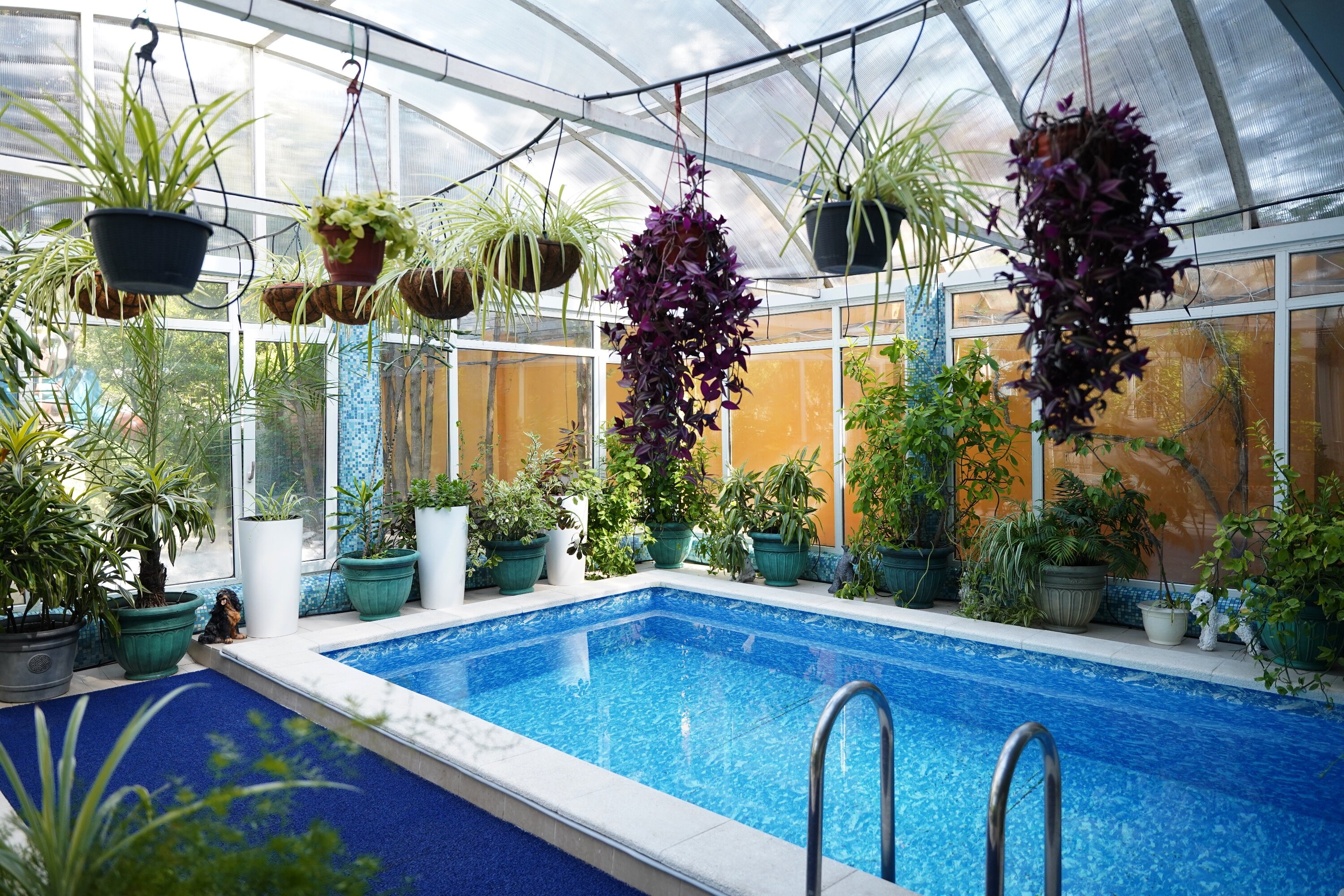 Фото Александр