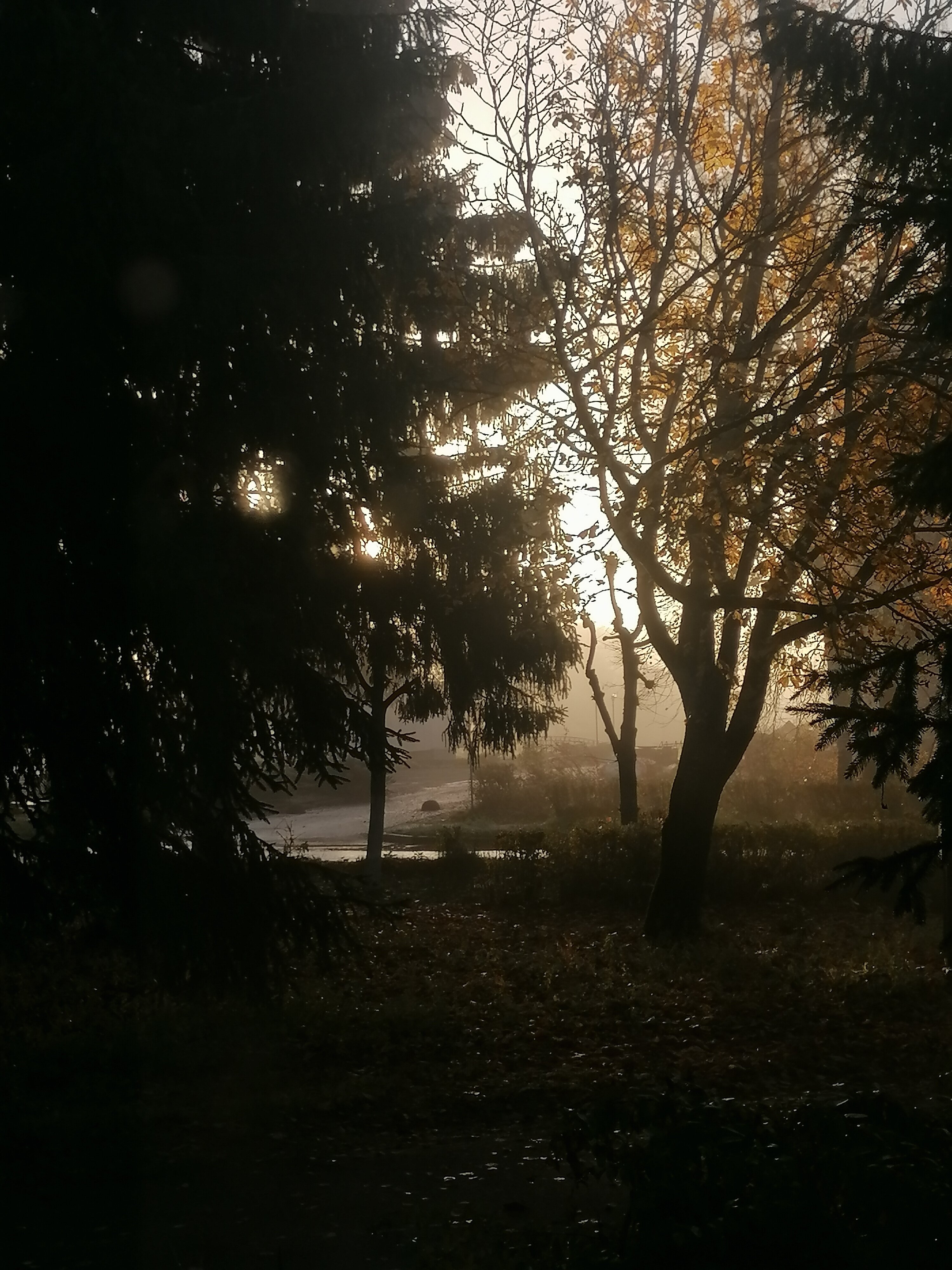 Фото Николаевский