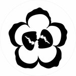 Цветы Уфы (Revolyutsionnaya Street, 97), gül mağazası