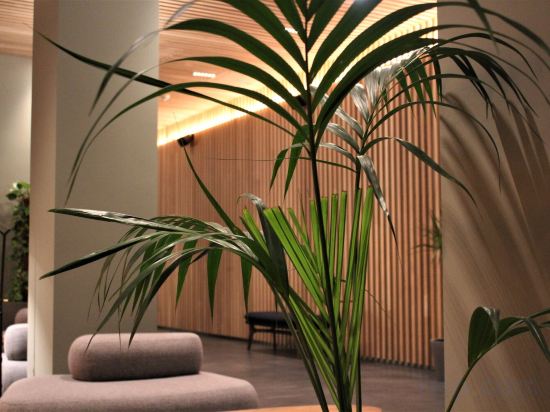 Фото Zedwell Hotels Greenwich