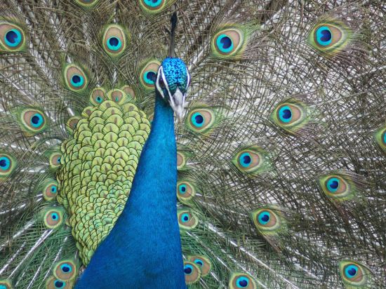 Фото Dongguan Mcb Lake Hotel