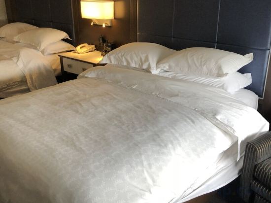 Фото Sheraton Laval Hotel