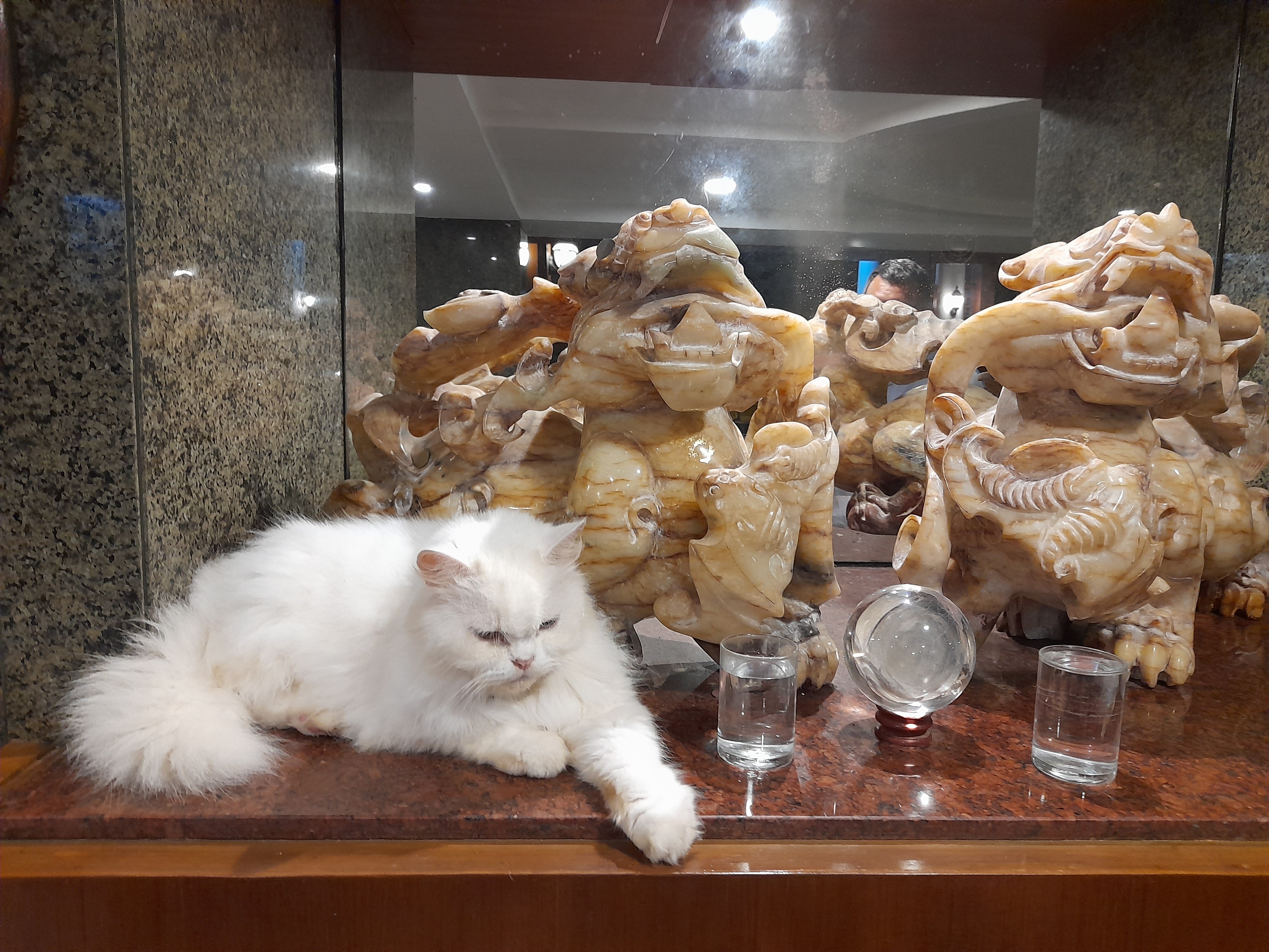 Фото Phi Phi Island Cabana Hotel