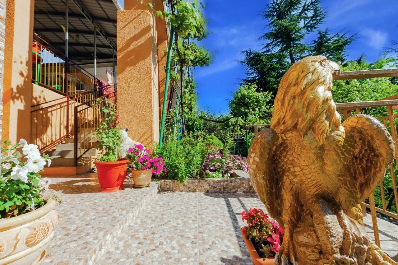 Фото Аэлита