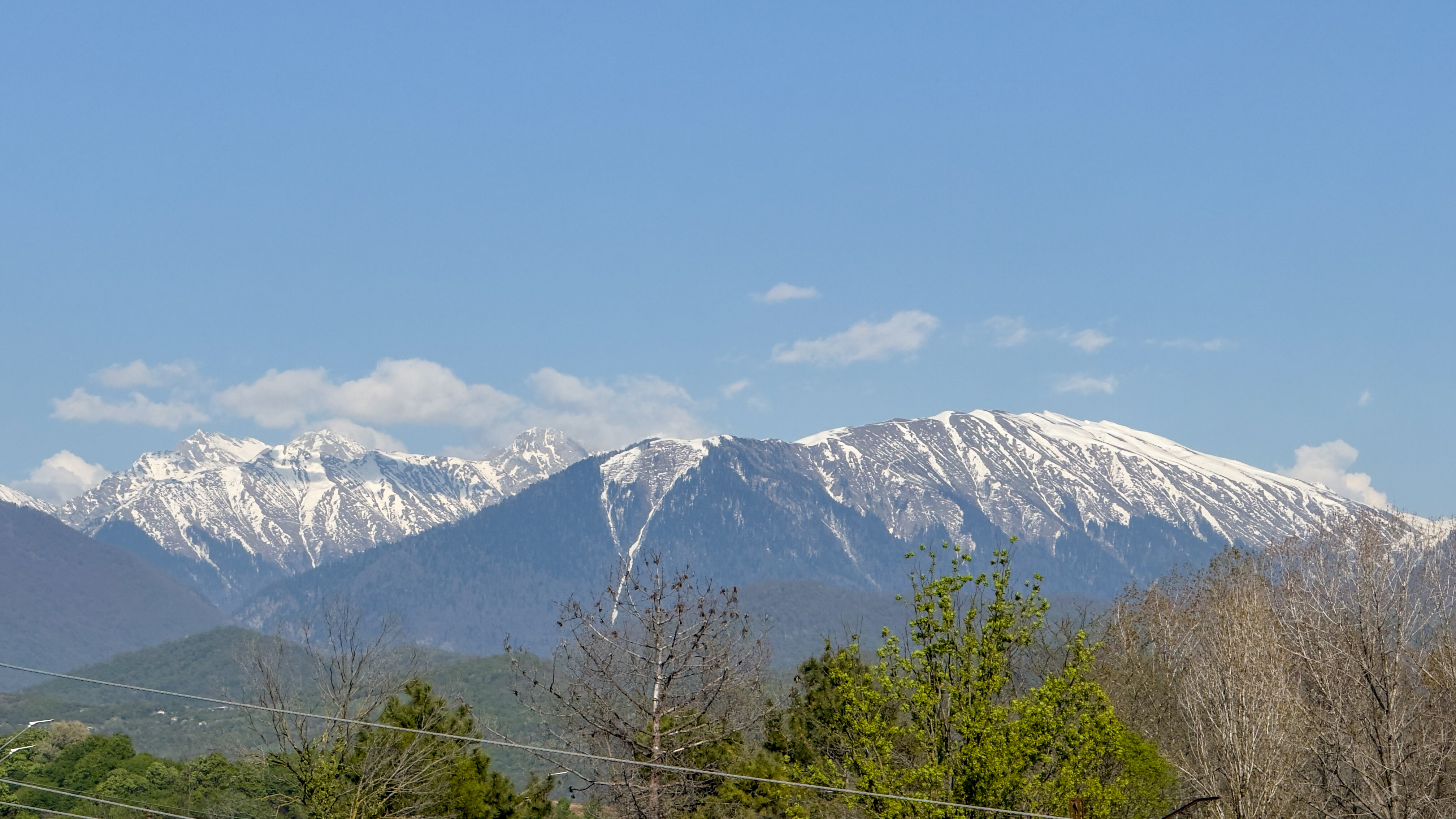 Фото Villa Астория