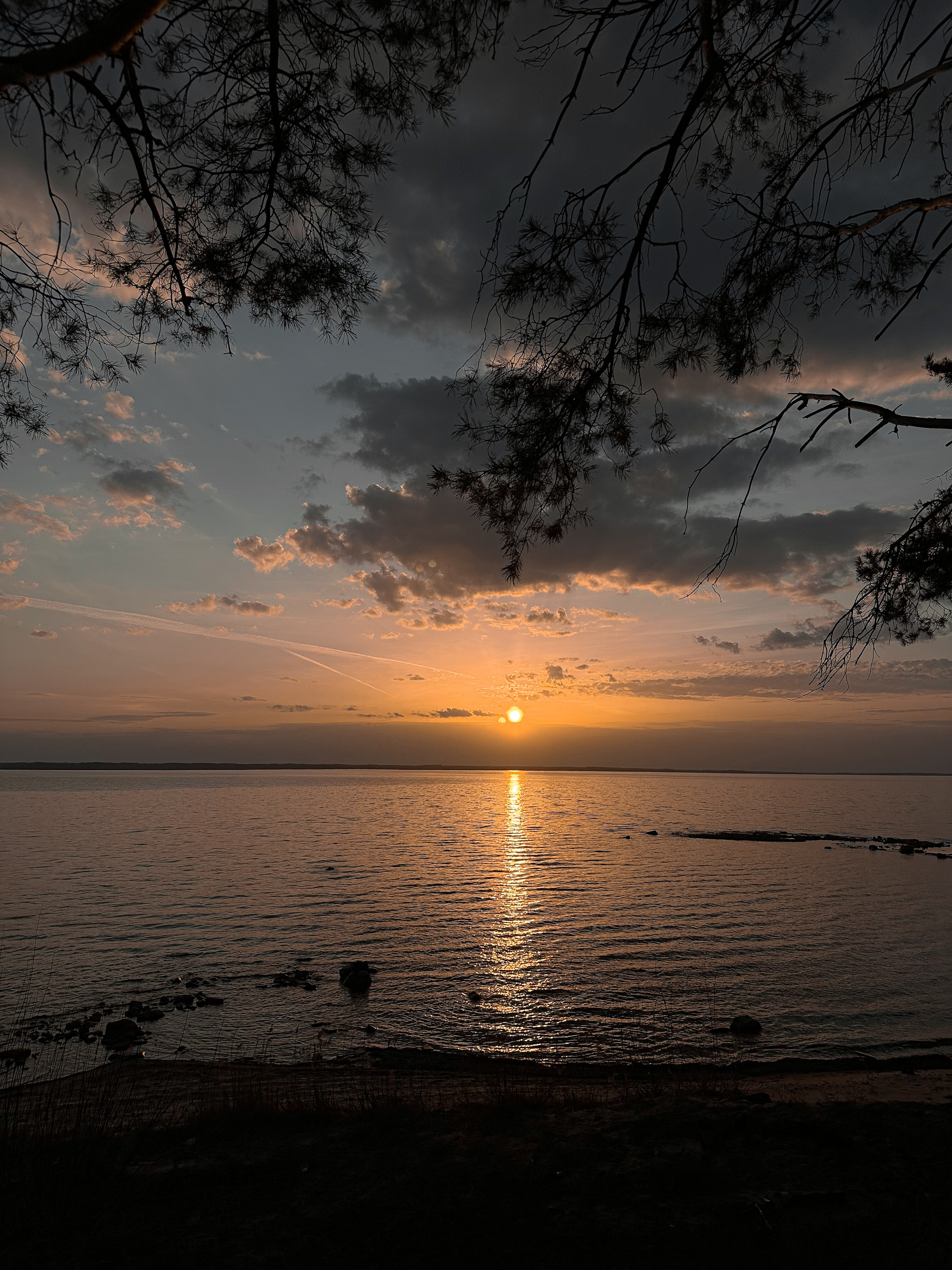Фото Точка Немо Нижний
