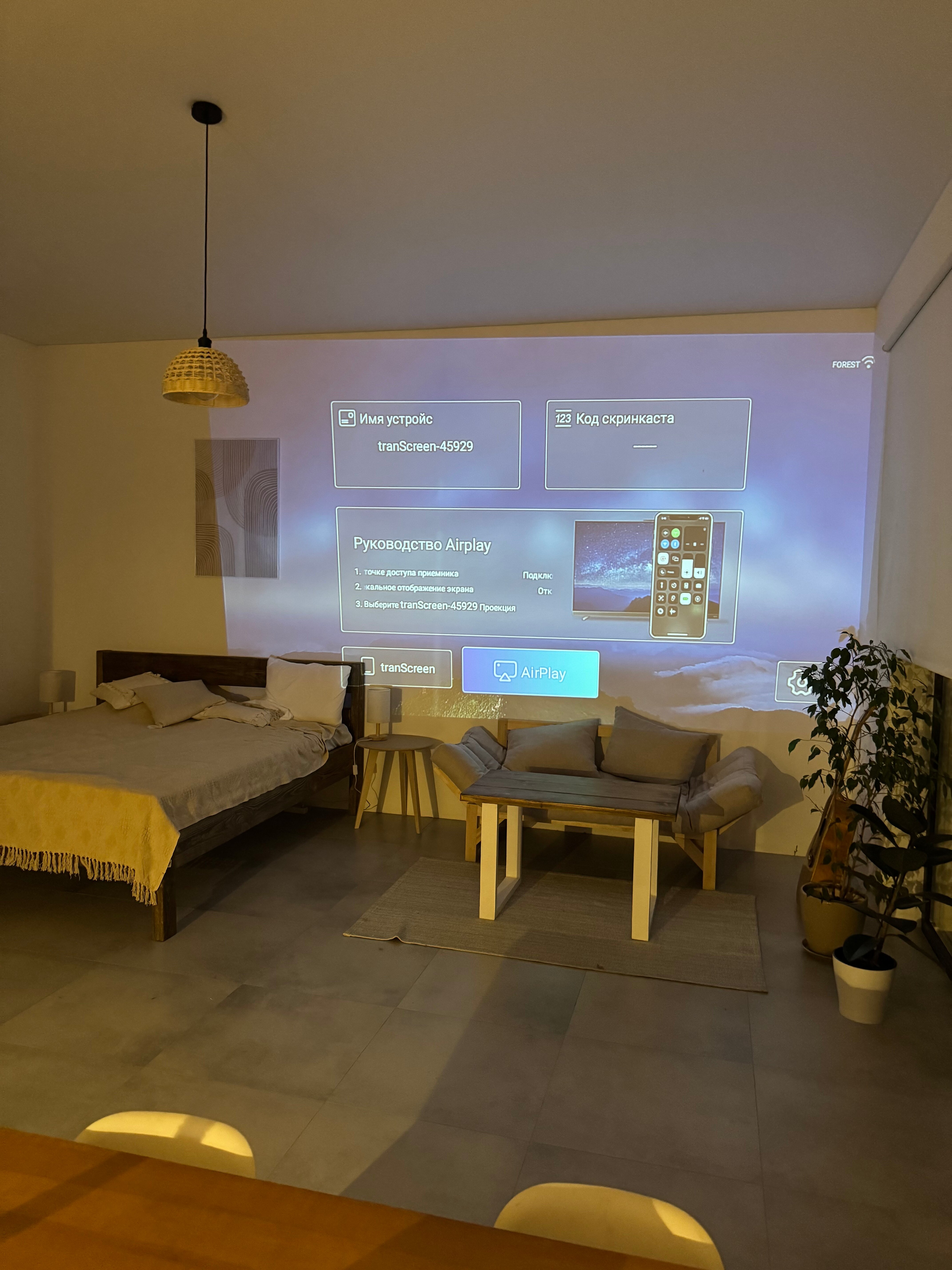 Фото Тихий Лес