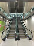 Торгстройкомплекс (Leningradskaya ulitsa, 150), ascensores, equipos de elevación
