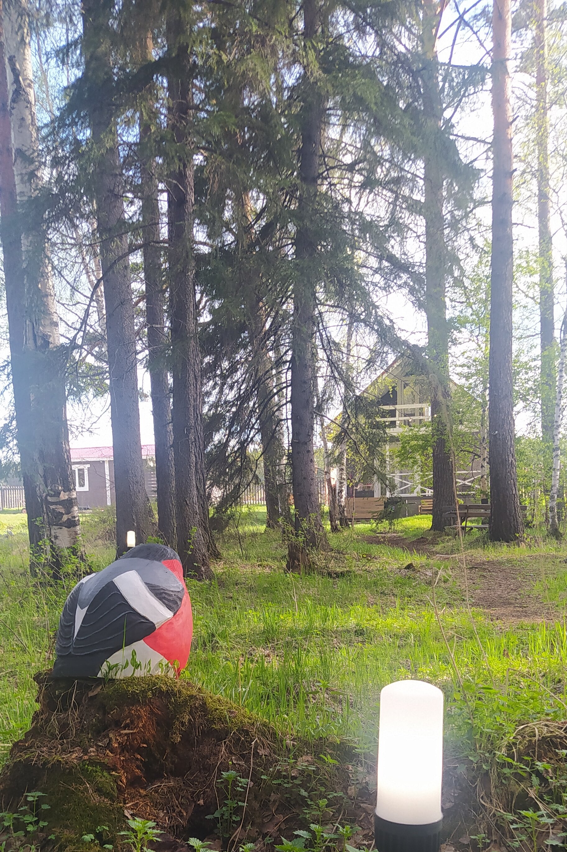 Фото Снегири Парк