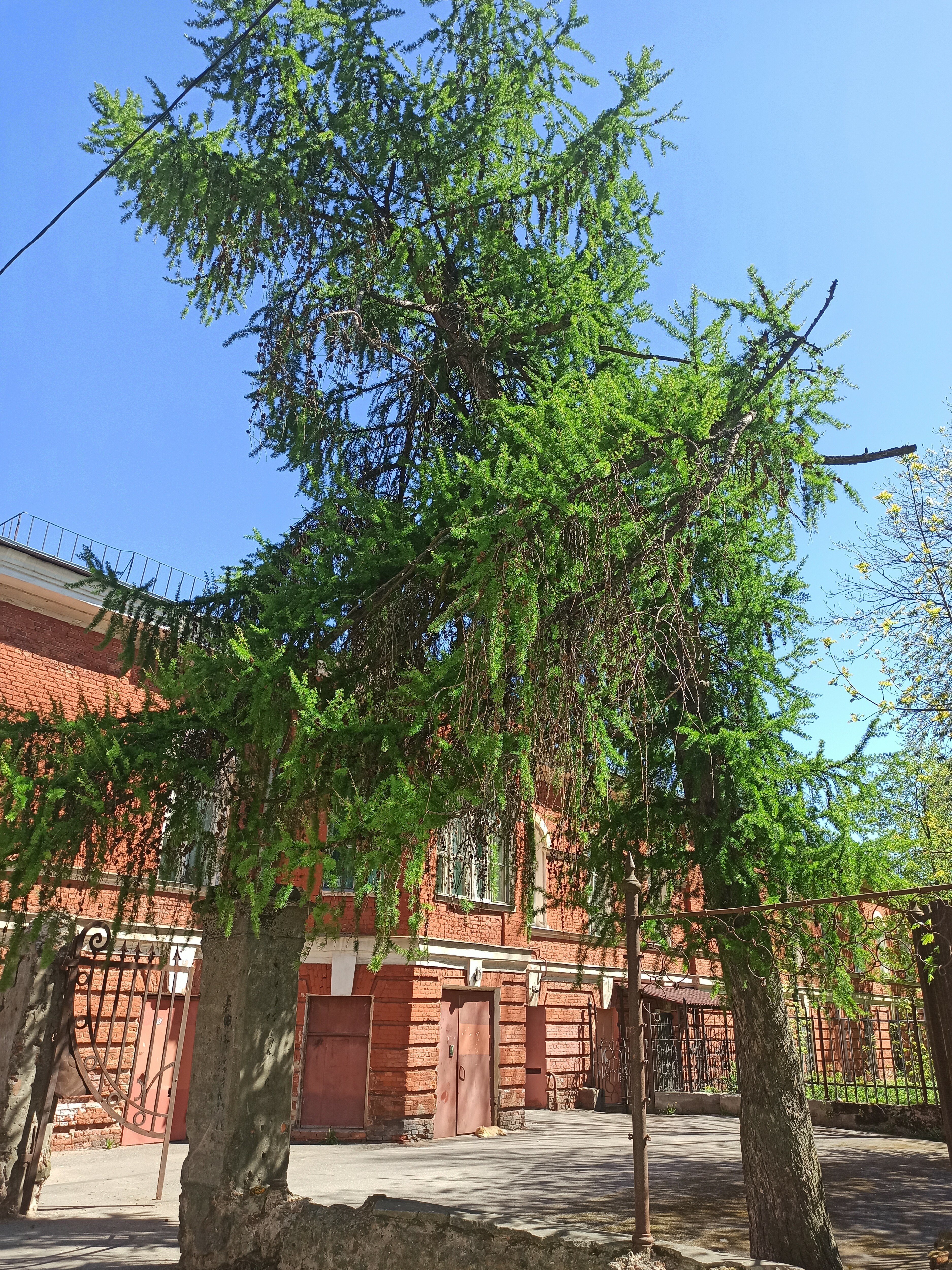 Фото ДелоНеВ_Месте