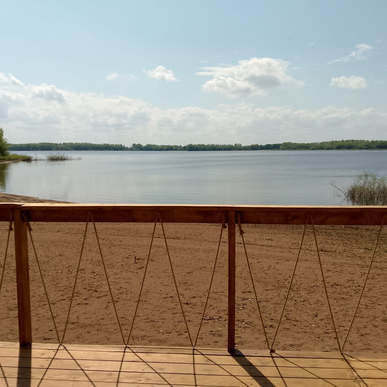 Фото Лаванда