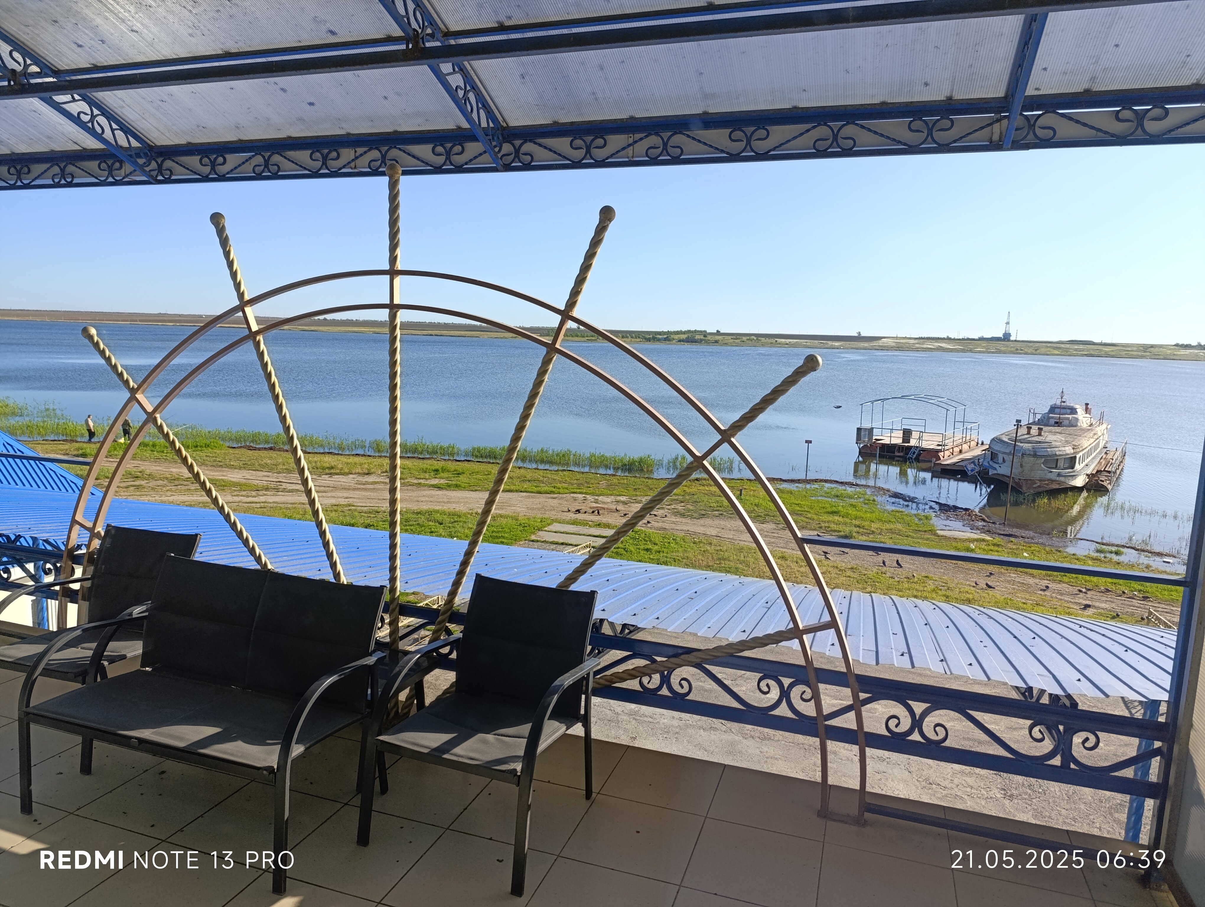 Фото Дельфин