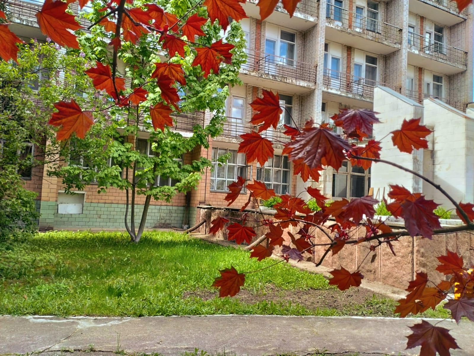 Фото отеля 3