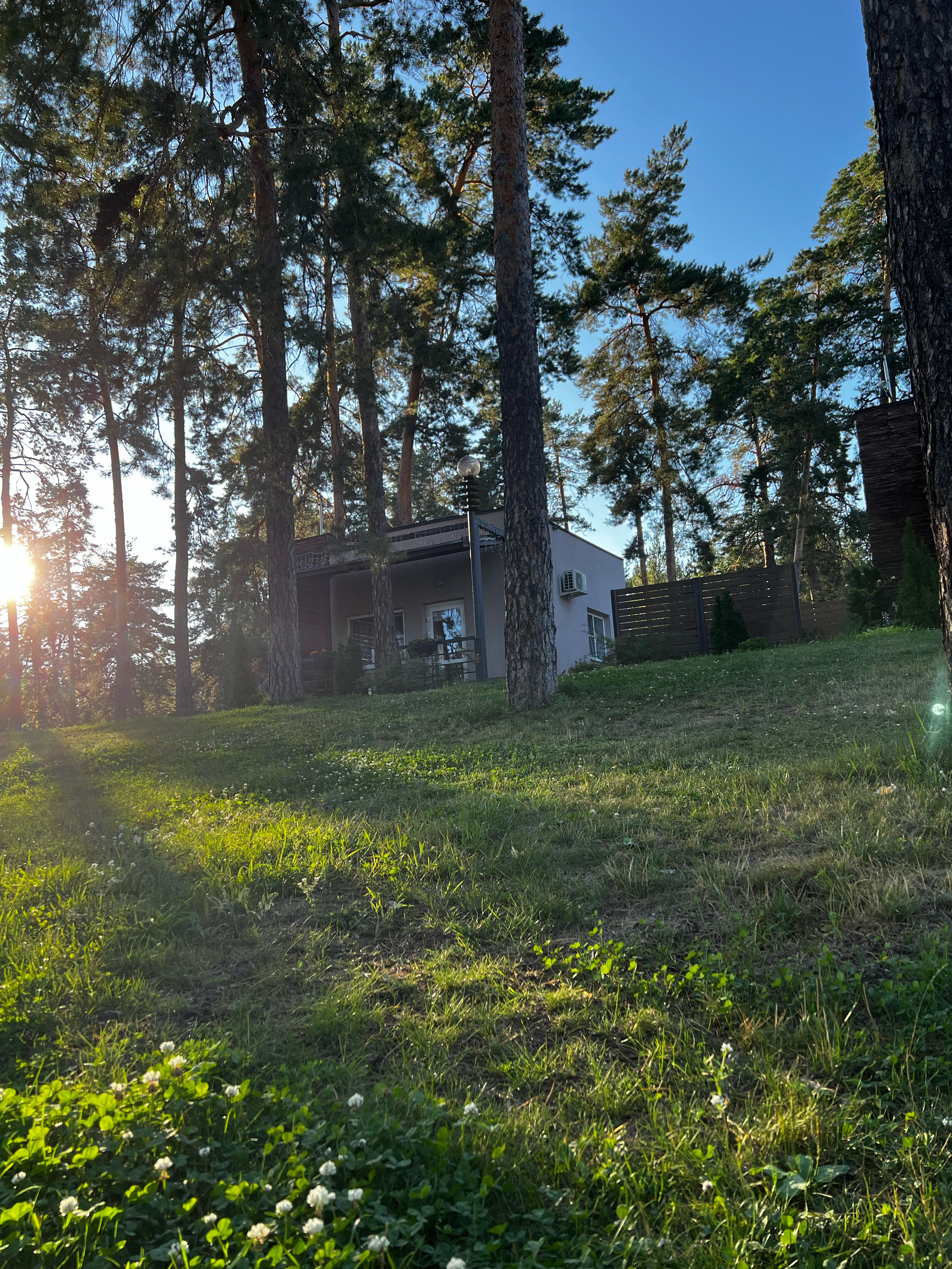 Фото Новая волна