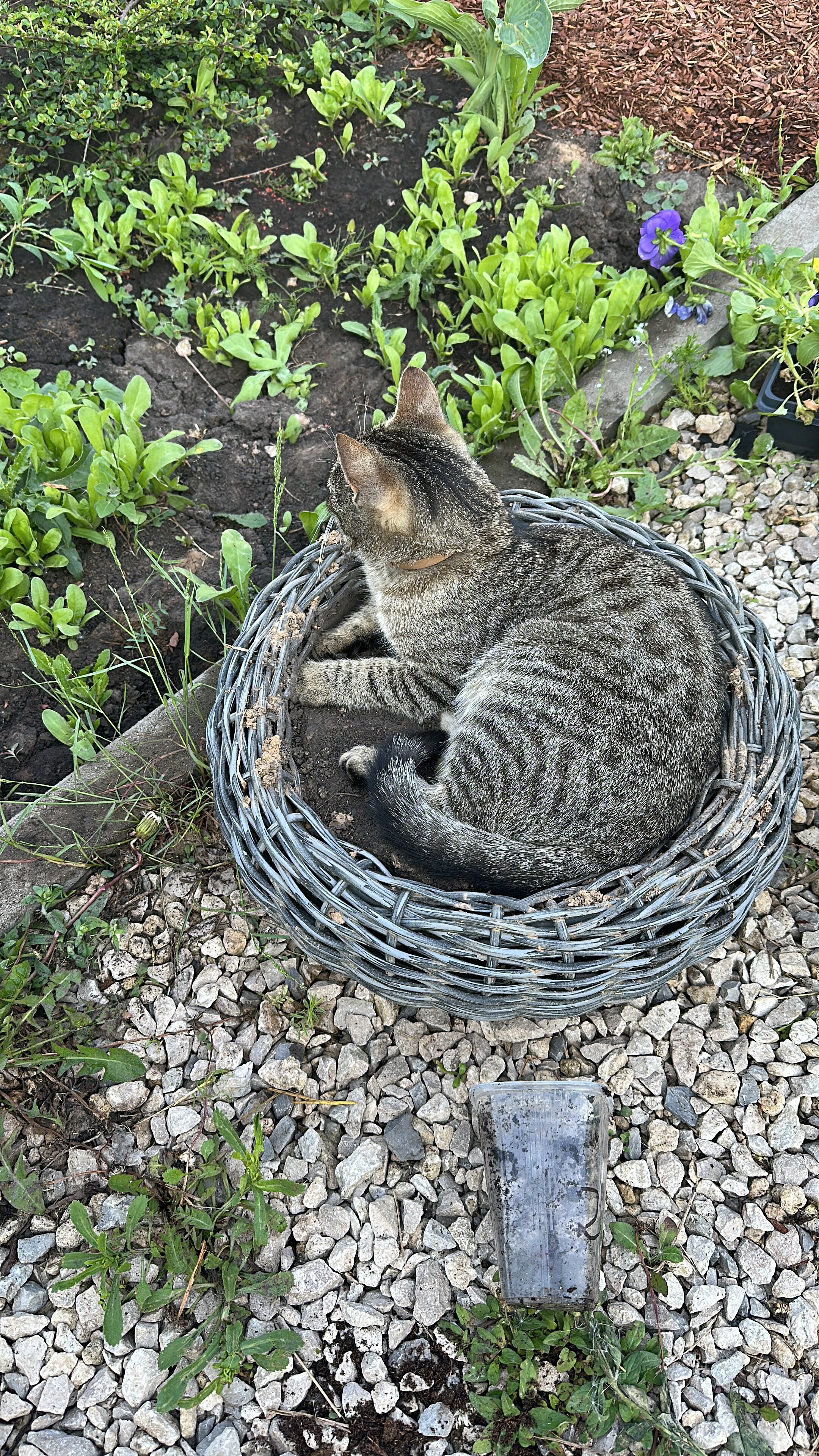 Фото Bereza Country