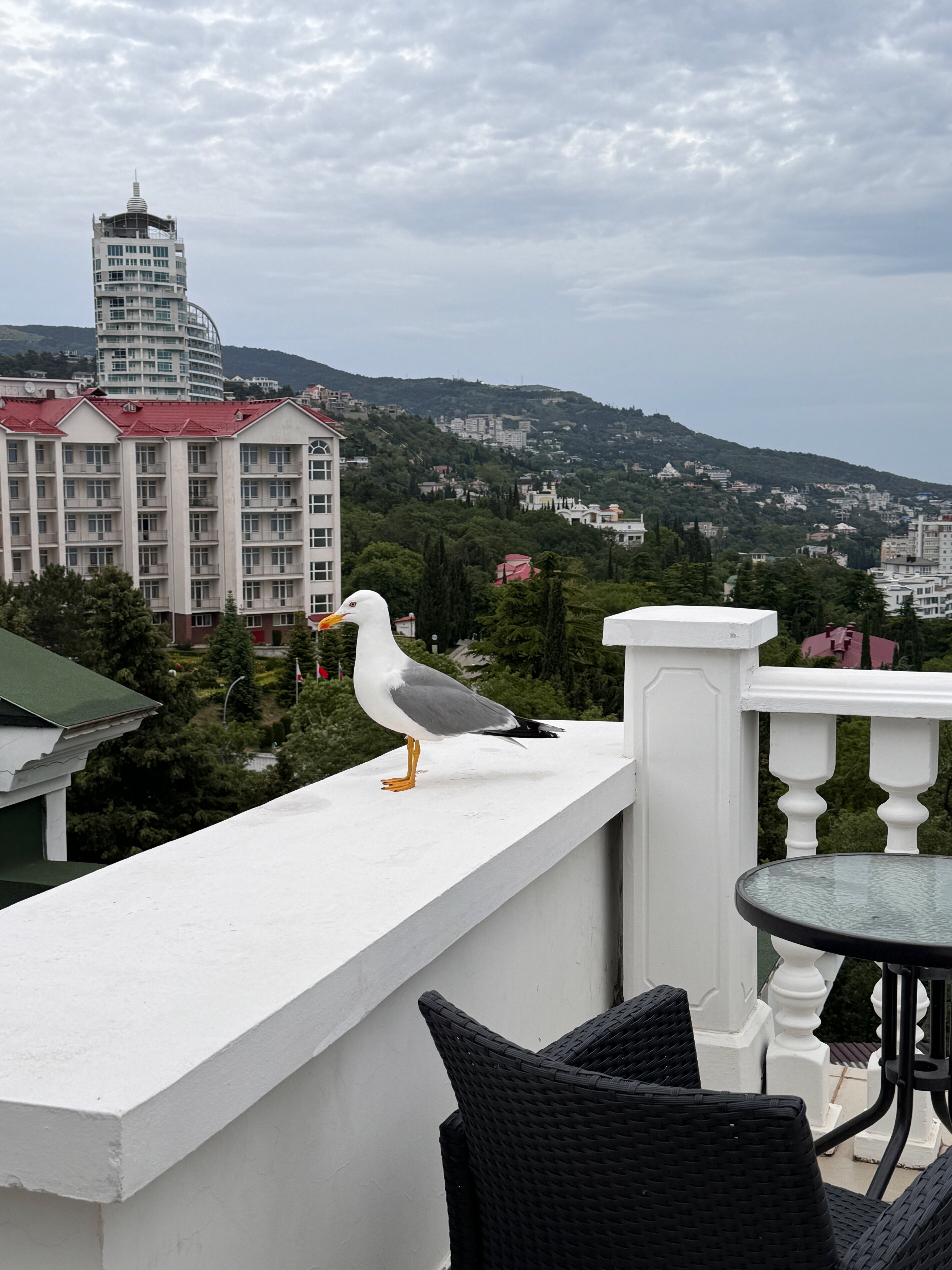 Фото Ренессанс