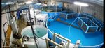 Aquaculture (Leningrad Region, Lomonosovskiy District, Lagolovskoye selskoye poseleniye, derevnya Lagolovo, territoriya promyshlennoy zony Yuzhnaya), fisheries, fish farming