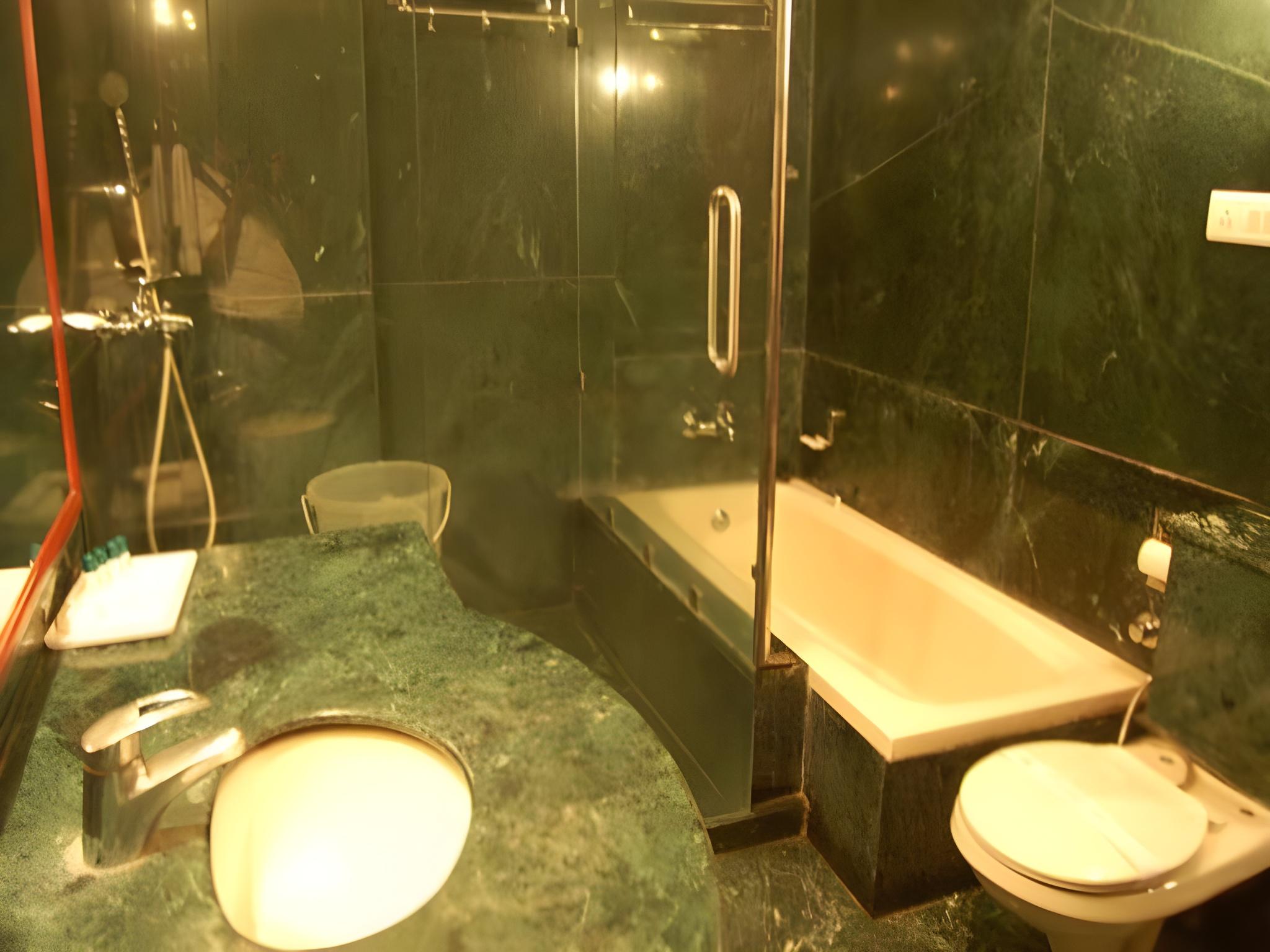 Фото Hotel Diplomat Residency