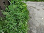 Горячие туры (Всеволожск, микрорайон Южный, Центральная улица, 2) ، وكالة أسفار